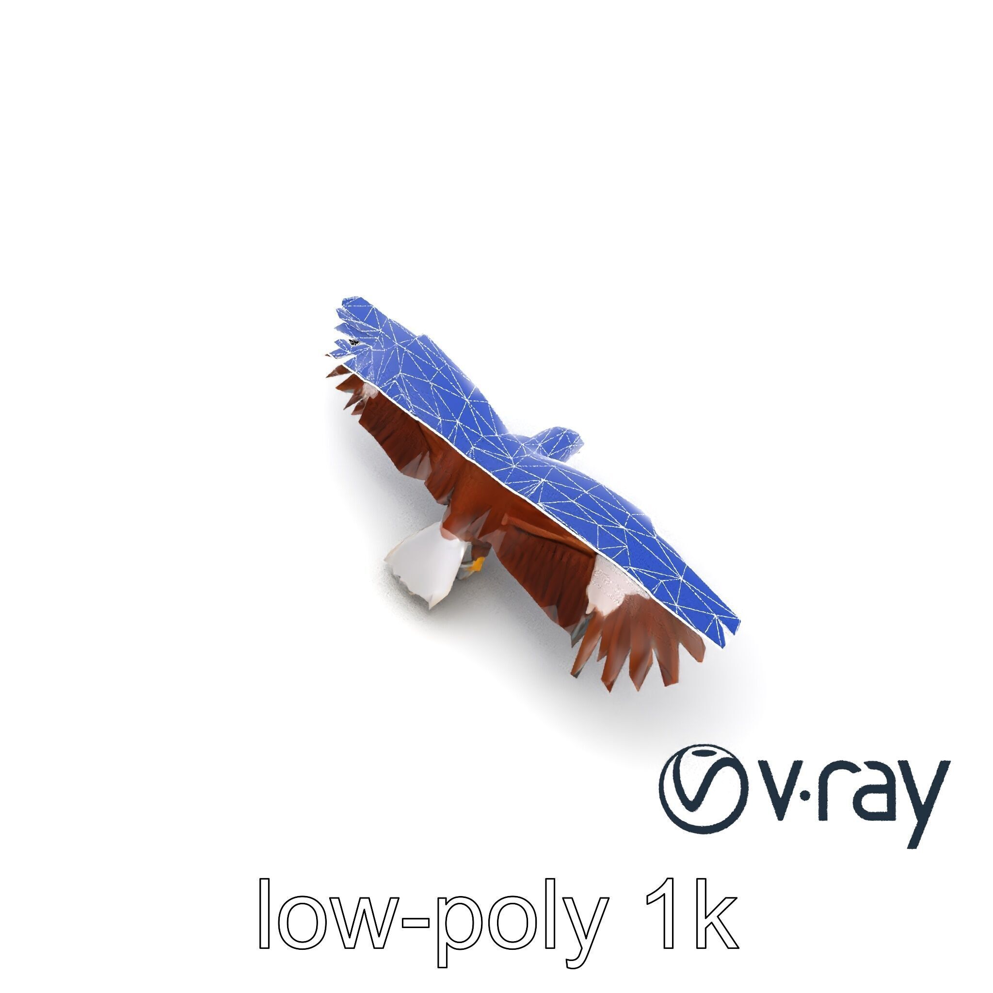 Majestic Bald Eagle 3D model pack Low-poly 3D model_32