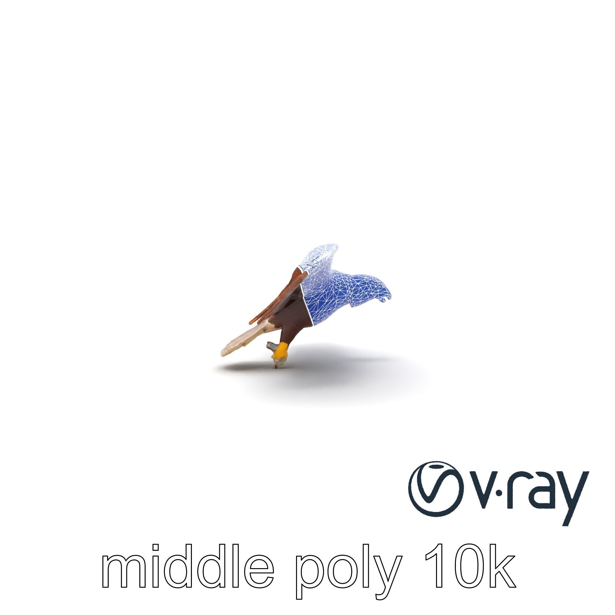 Majestic Bald Eagle 3D model pack Low-poly 3D model_18