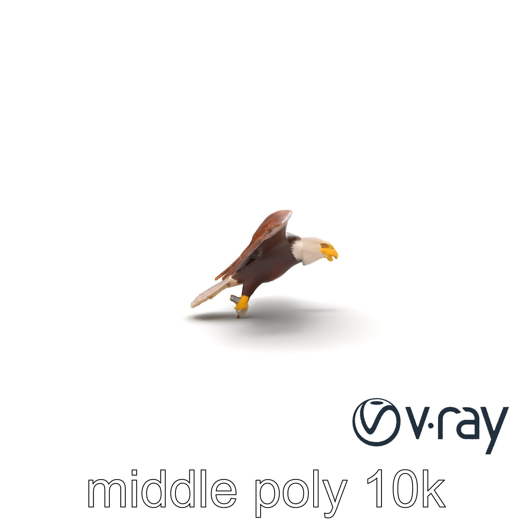 Majestic Bald Eagle 3D model pack Low-poly 3D model_16