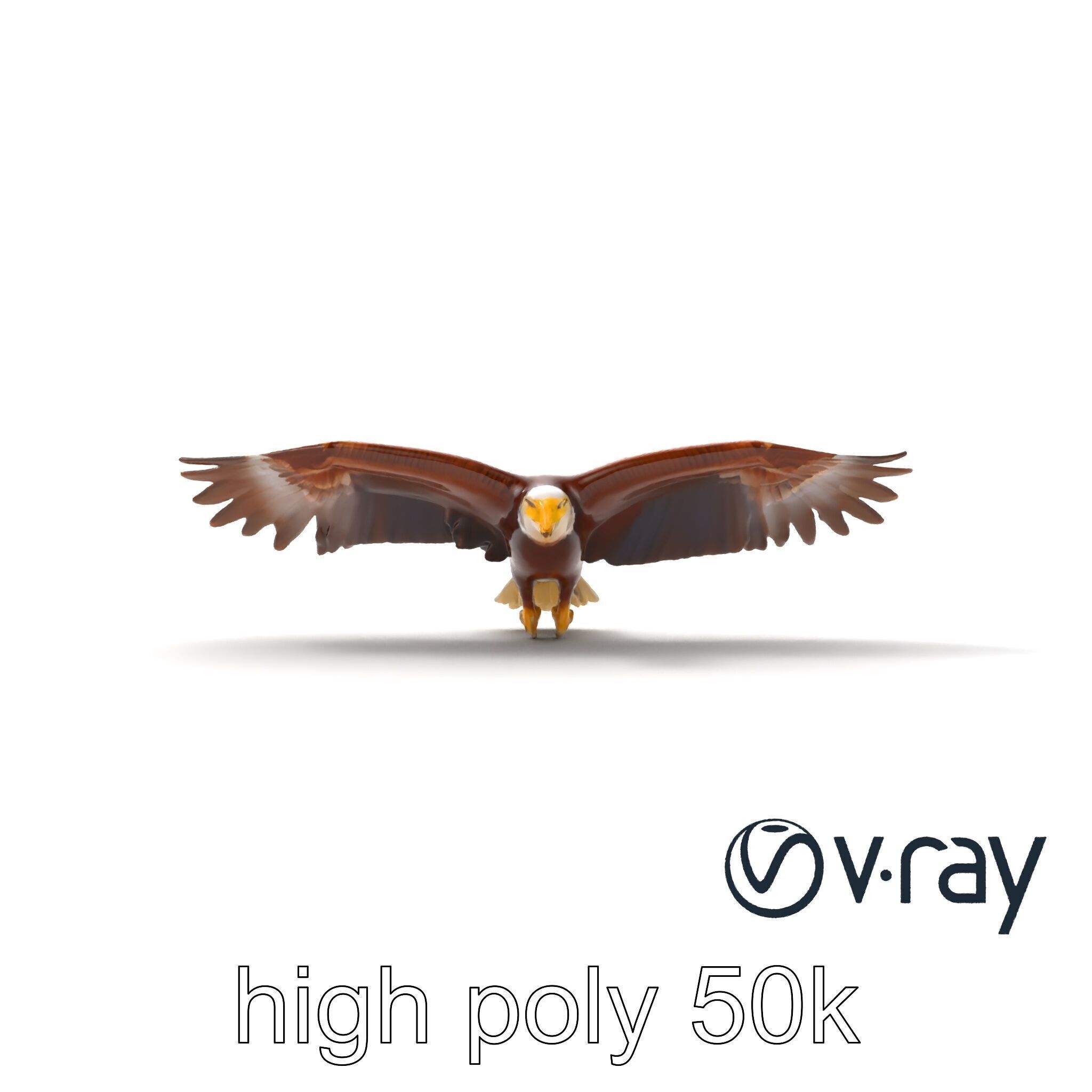 Majestic Bald Eagle 3D model pack Low-poly 3D model_19