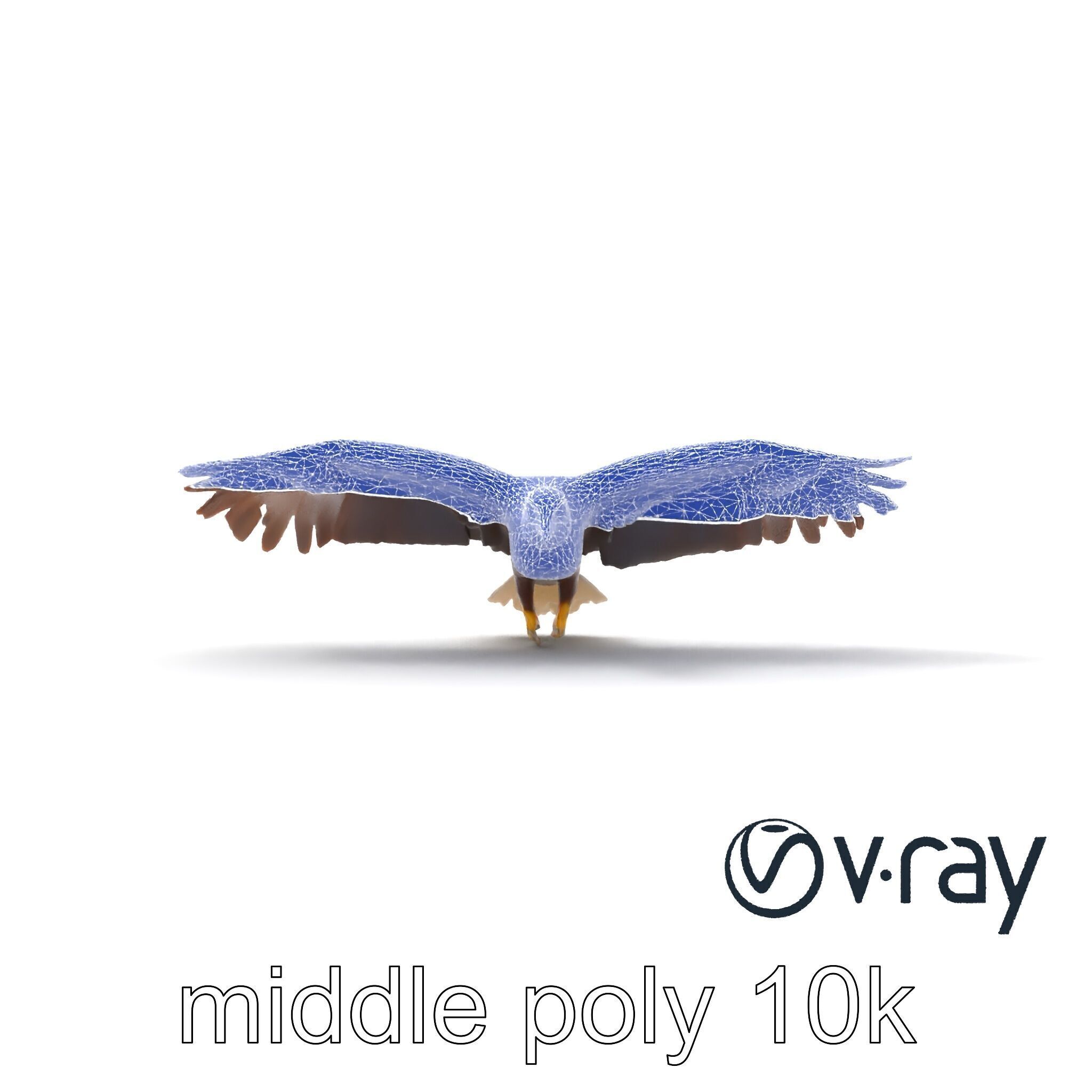 Majestic Bald Eagle 3D model pack Low-poly 3D model_29