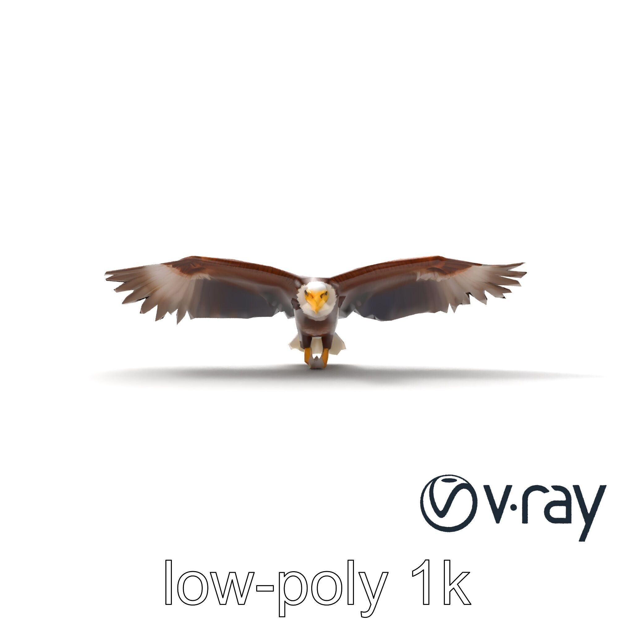 Majestic Bald Eagle 3D model pack Low-poly 3D model_17