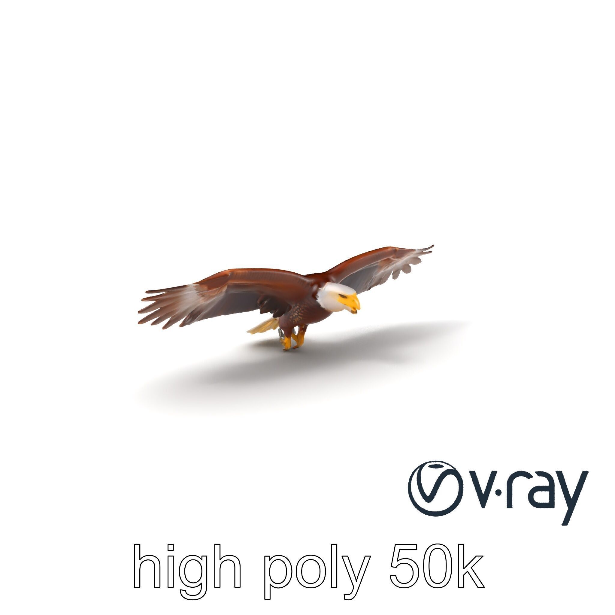 Majestic Bald Eagle 3D model pack Low-poly 3D model_5