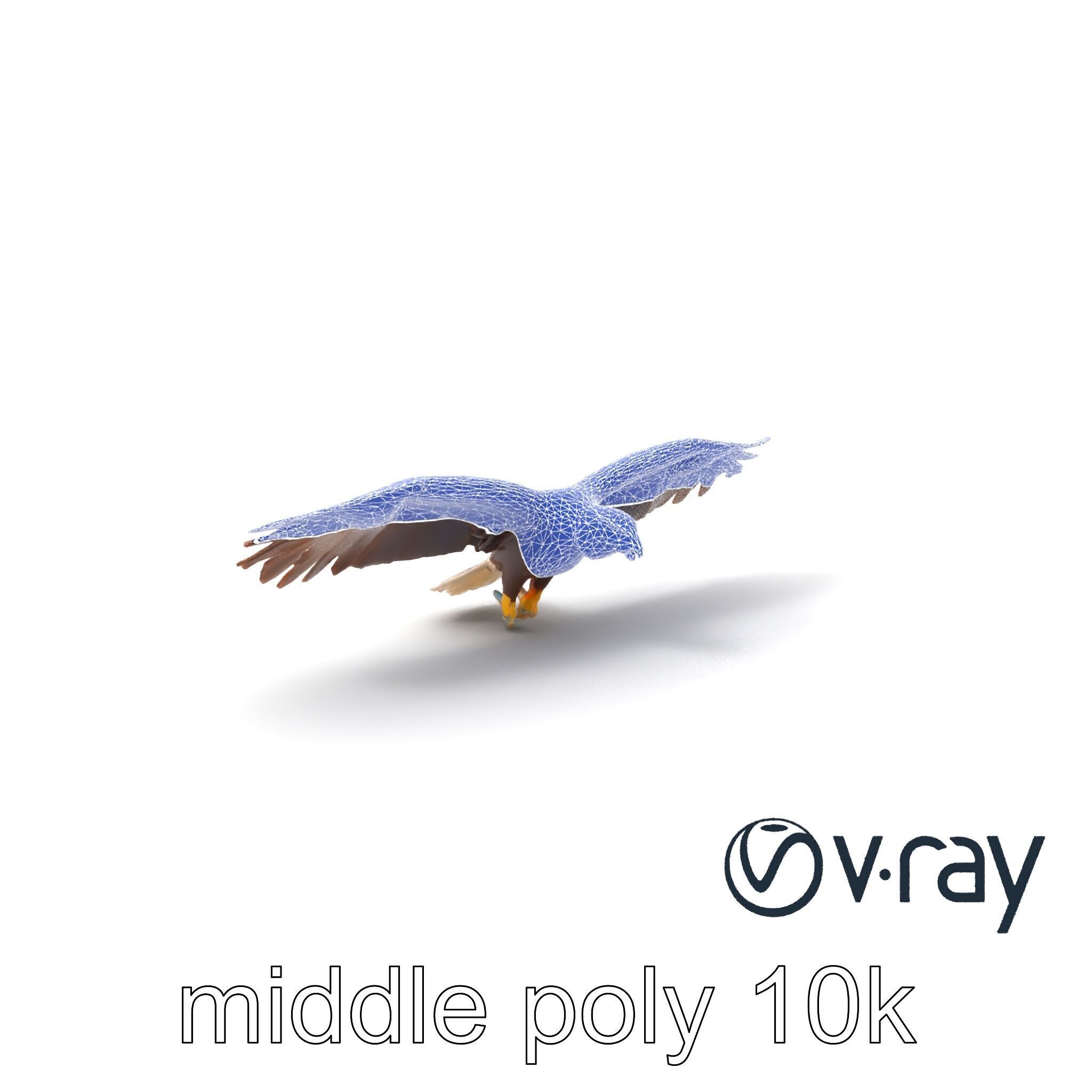 Majestic Bald Eagle 3D model pack Low-poly 3D model_13