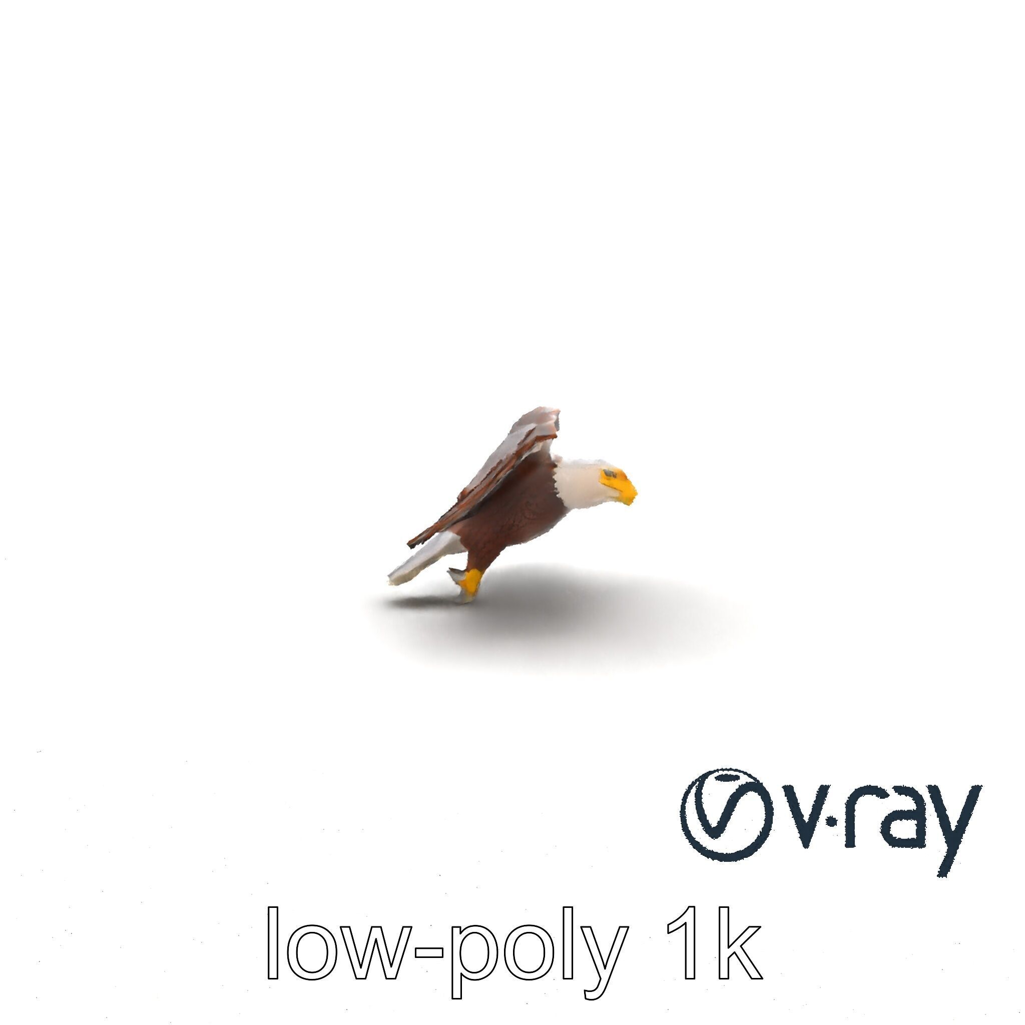 Majestic Bald Eagle 3D model pack Low-poly 3D model_22