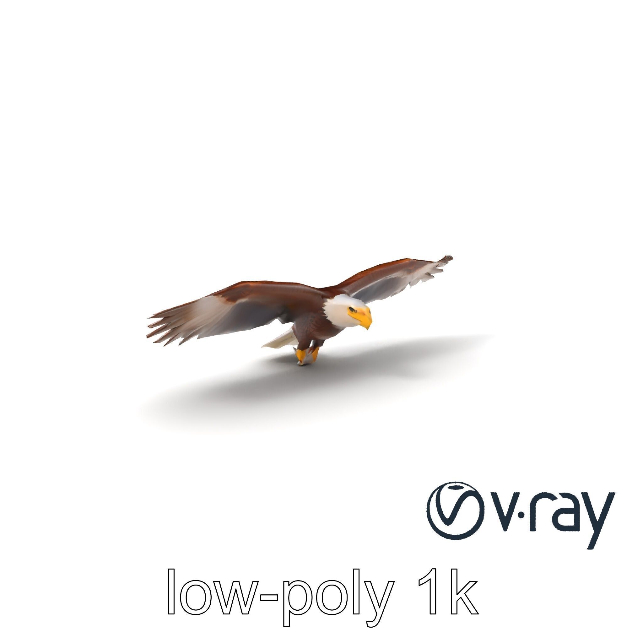 Majestic Bald Eagle 3D model pack Low-poly 3D model_2