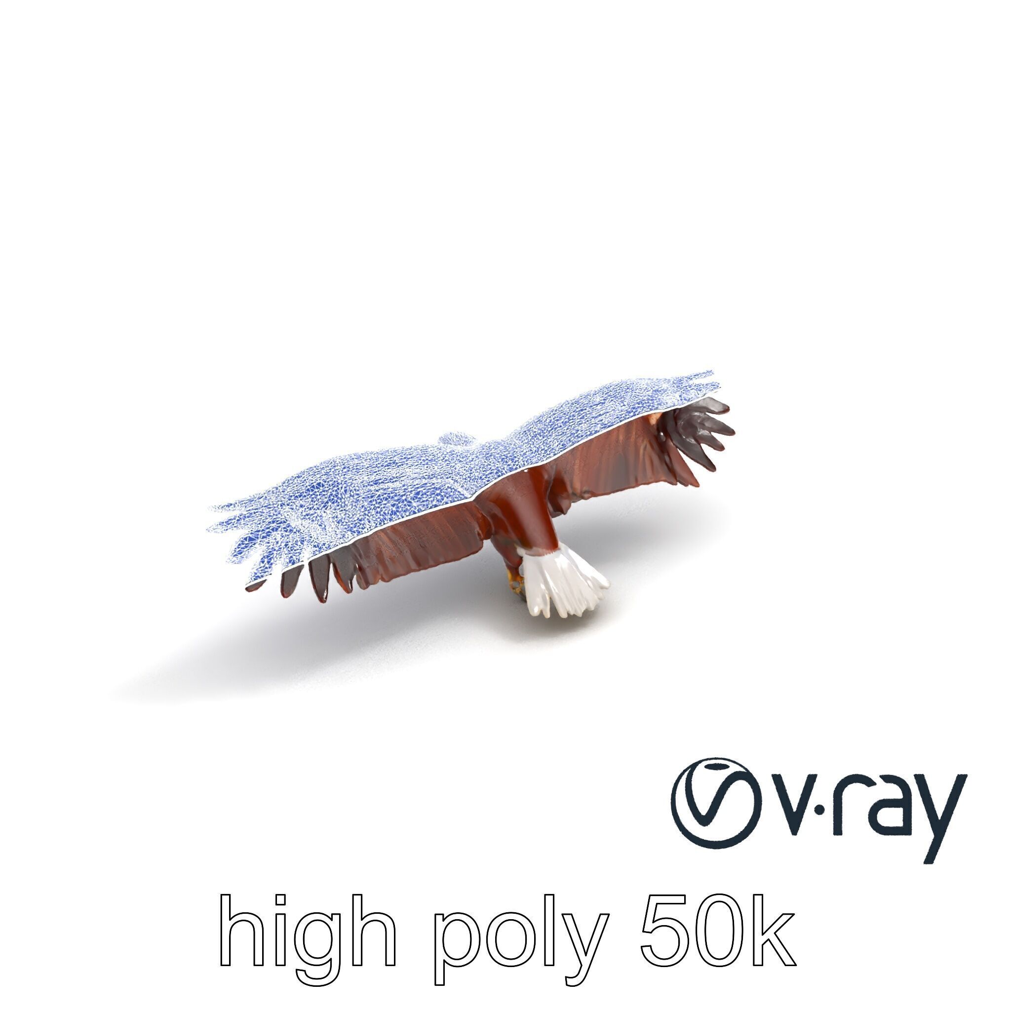 Majestic Bald Eagle 3D model pack Low-poly 3D model_30