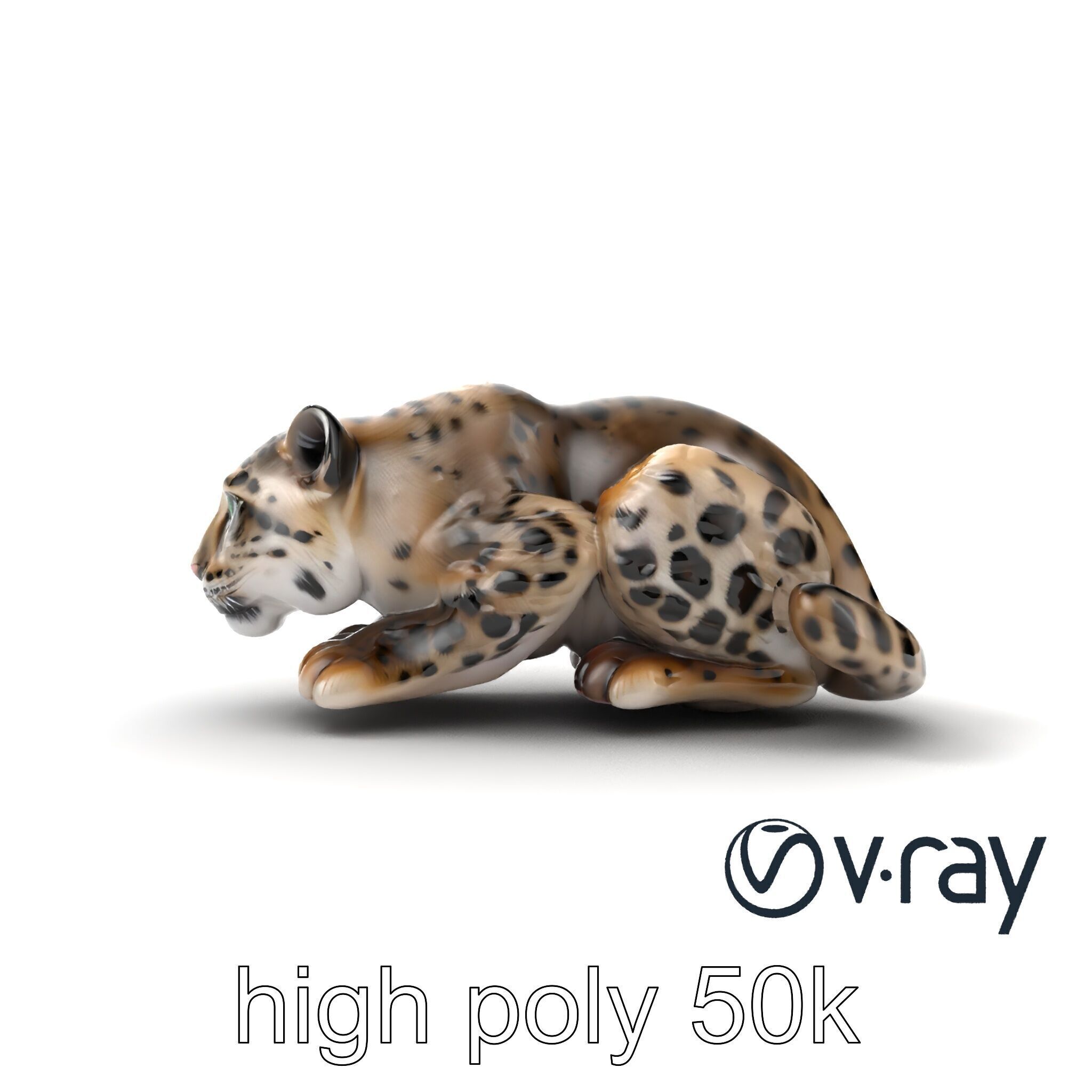 Elusive Snow Leopard Sculpture model pack Low-poly 3D model_27