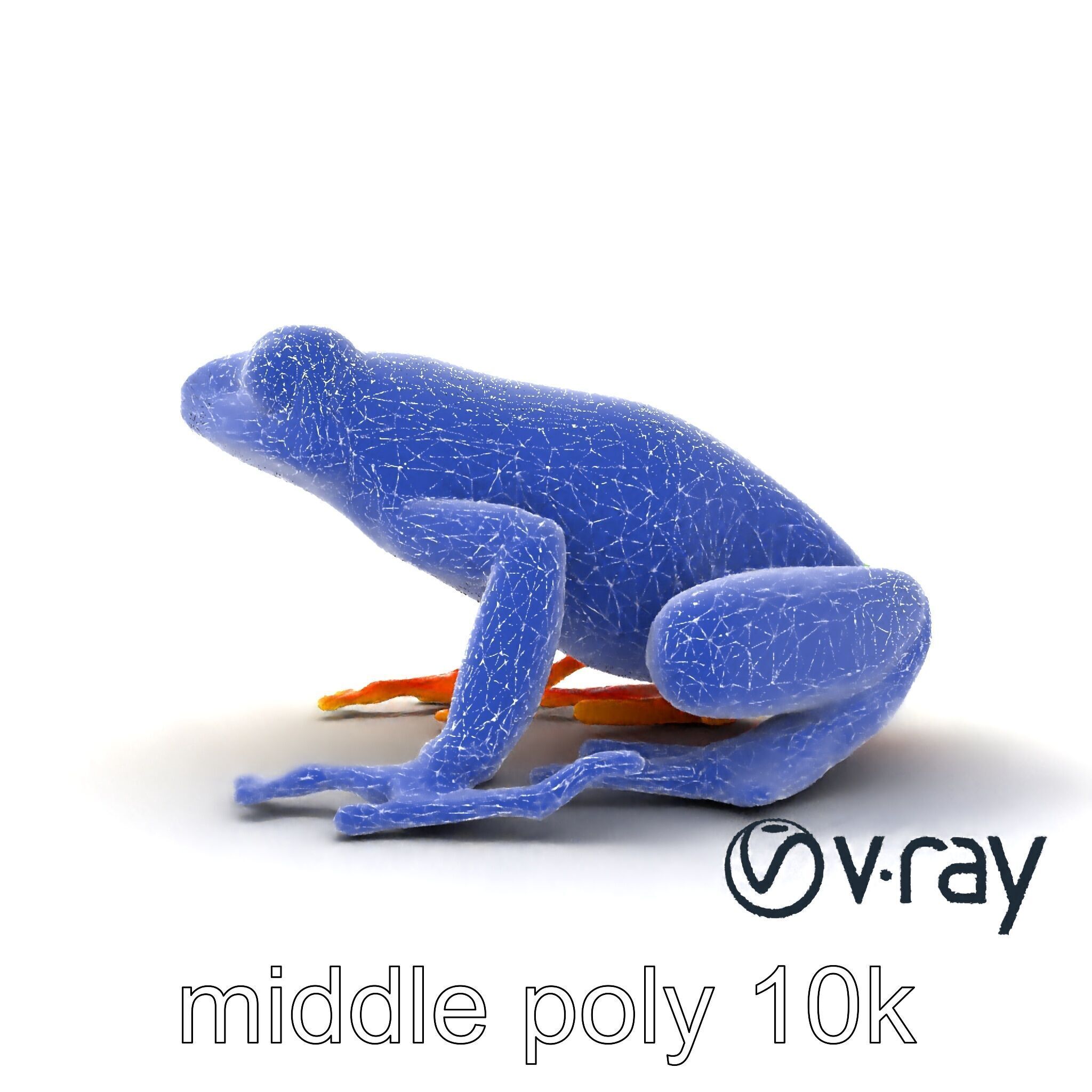 Vibrant Poison Dart Frog Neon Hue model pack Low-poly 3D model_16