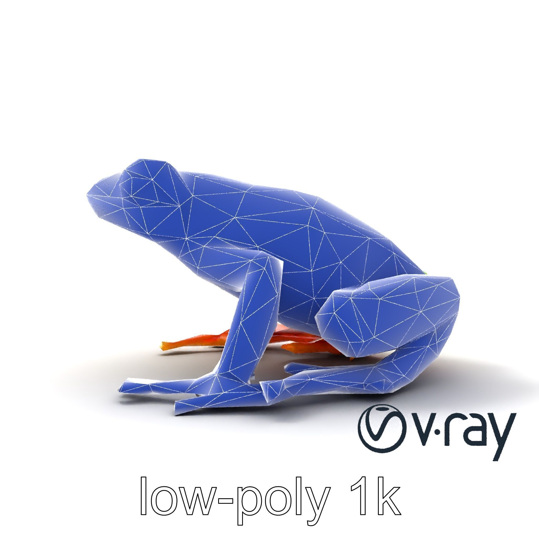 Vibrant Poison Dart Frog Neon Hue model pack Low-poly 3D model_19