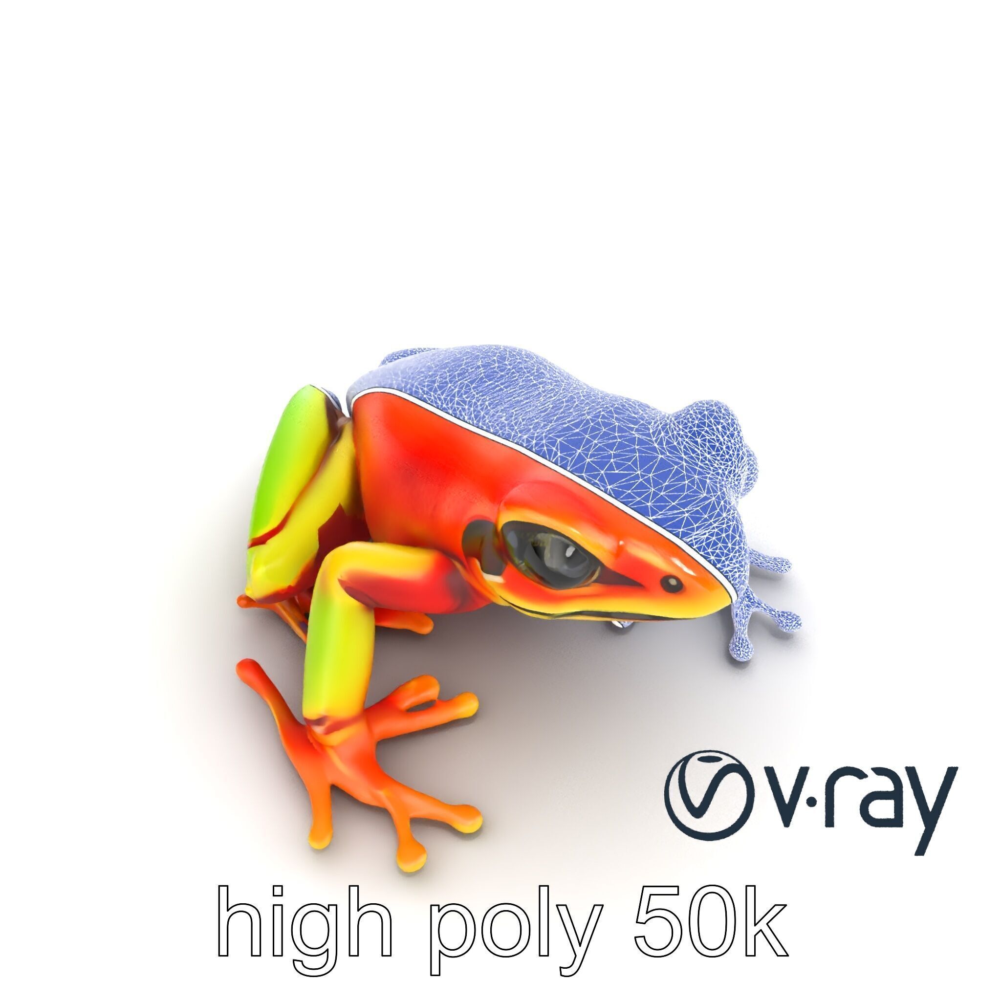 Vibrant Poison Dart Frog Neon Hue model pack Low-poly 3D model_27