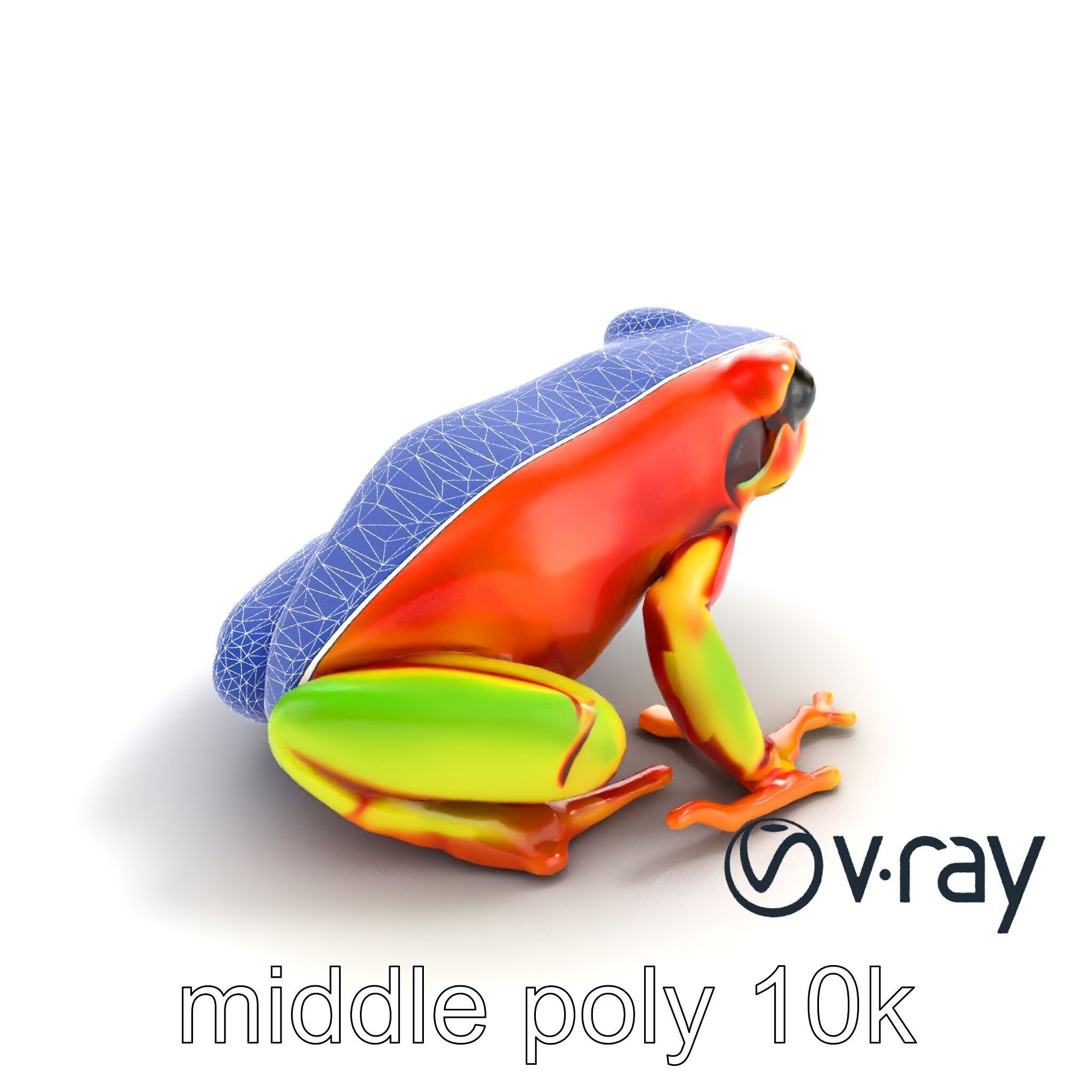 Vibrant Poison Dart Frog Neon Hue model pack Low-poly 3D model_13
