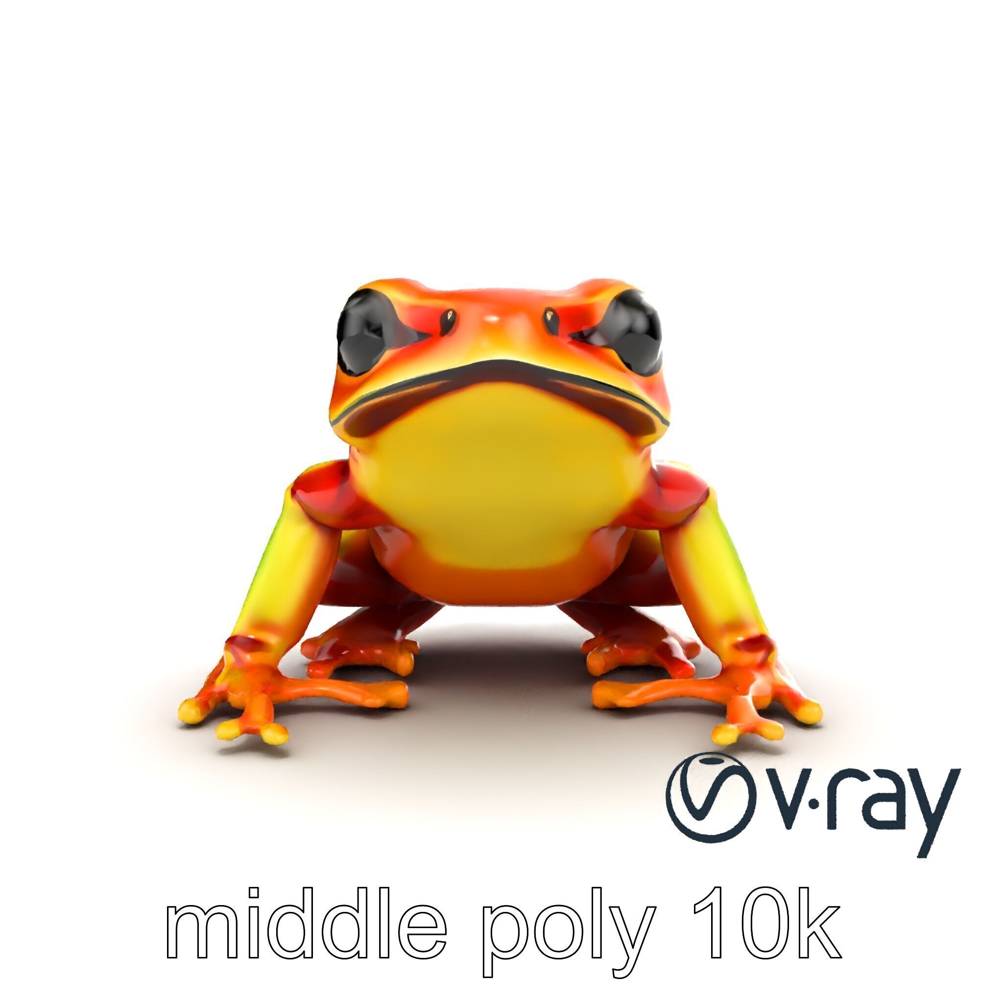 Vibrant Poison Dart Frog Neon Hue model pack Low-poly 3D model_32