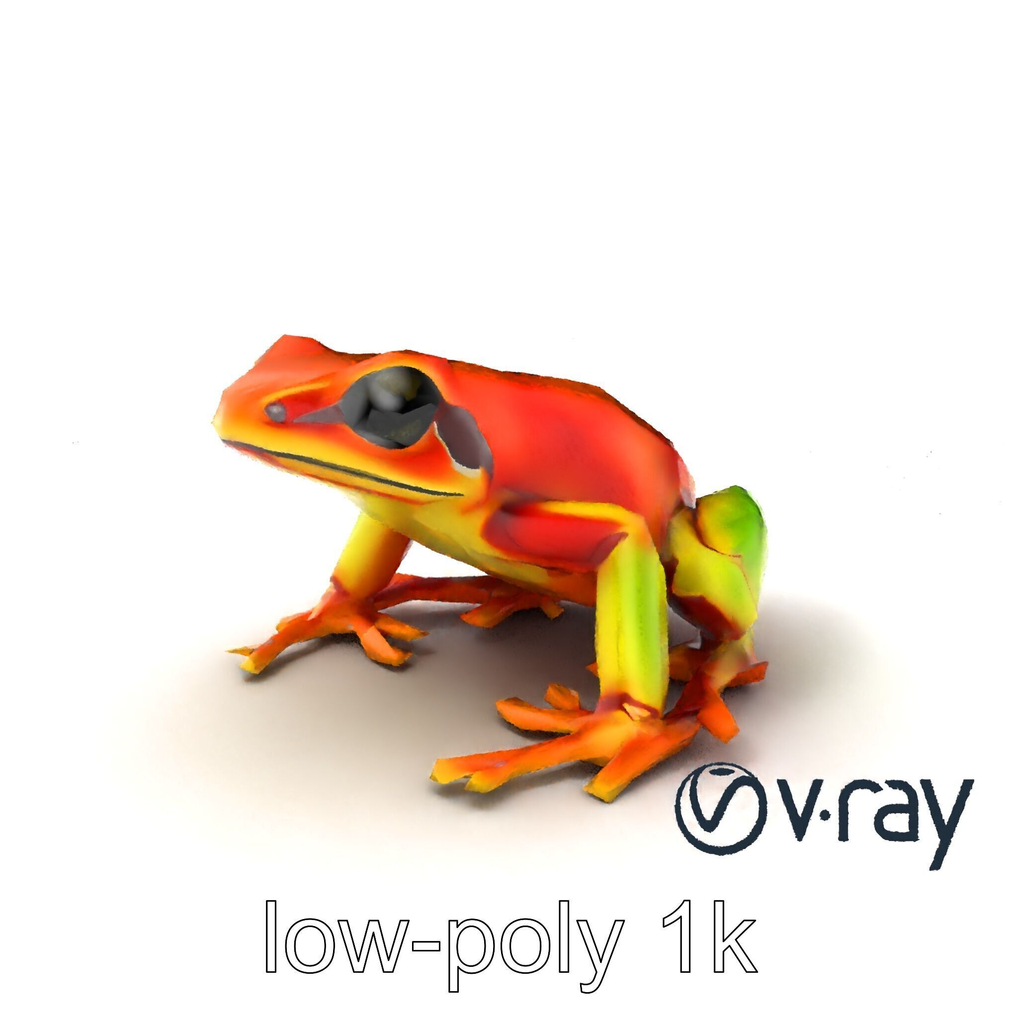 Vibrant Poison Dart Frog Neon Hue model pack Low-poly 3D model_2