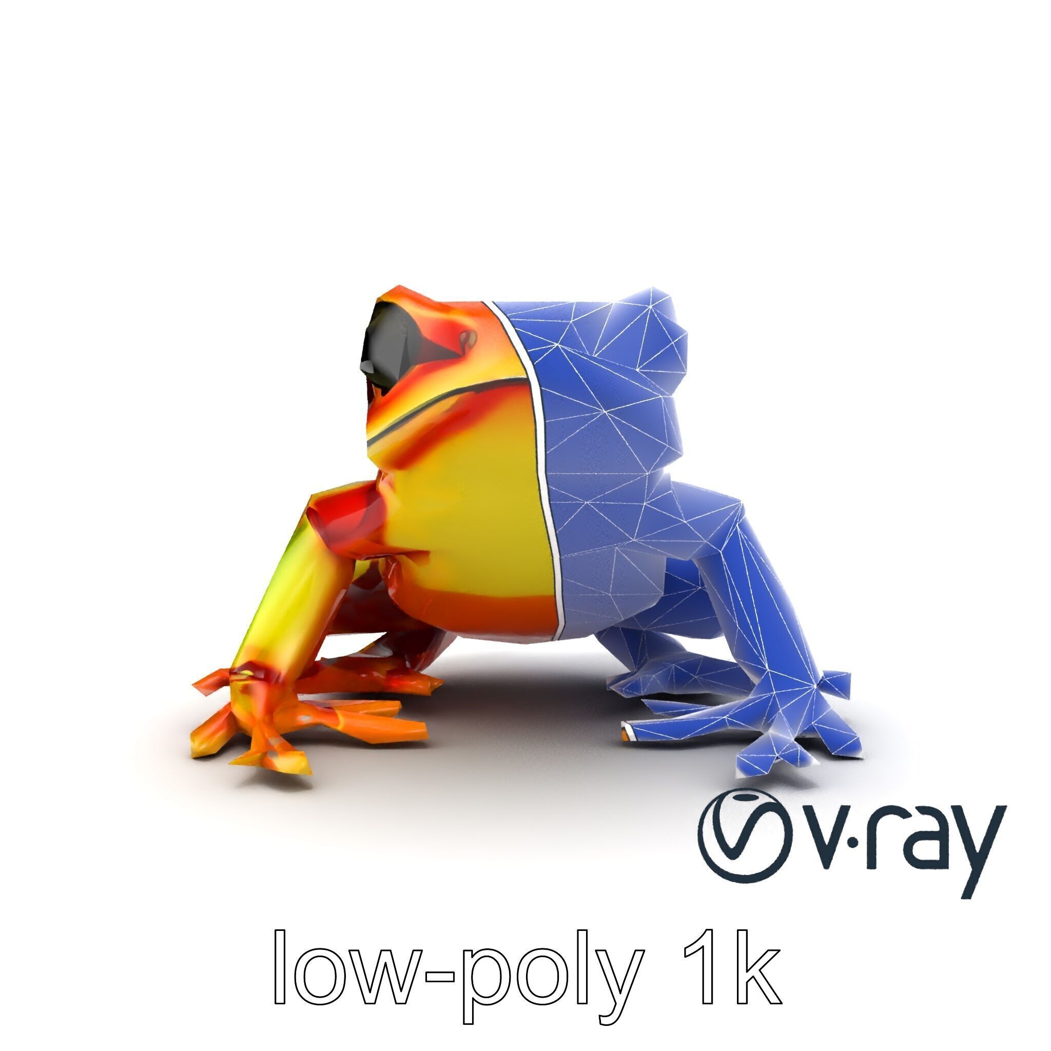 Vibrant Poison Dart Frog Neon Hue model pack Low-poly 3D model_12