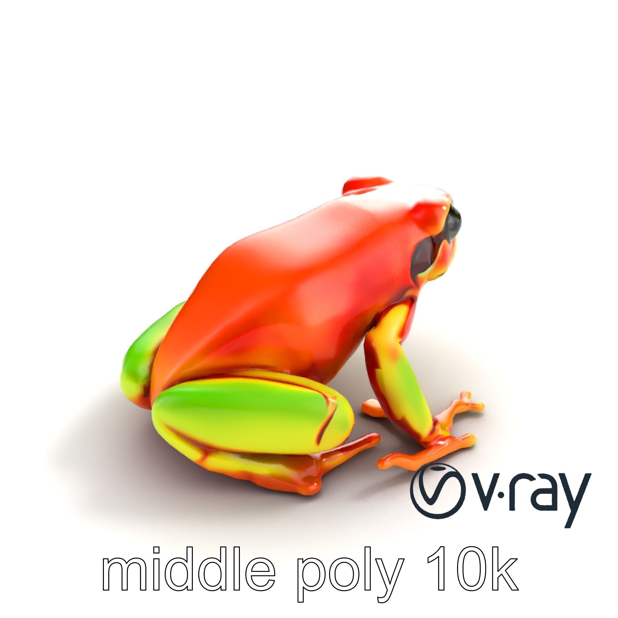 Vibrant Poison Dart Frog Neon Hue model pack Low-poly 3D model_9