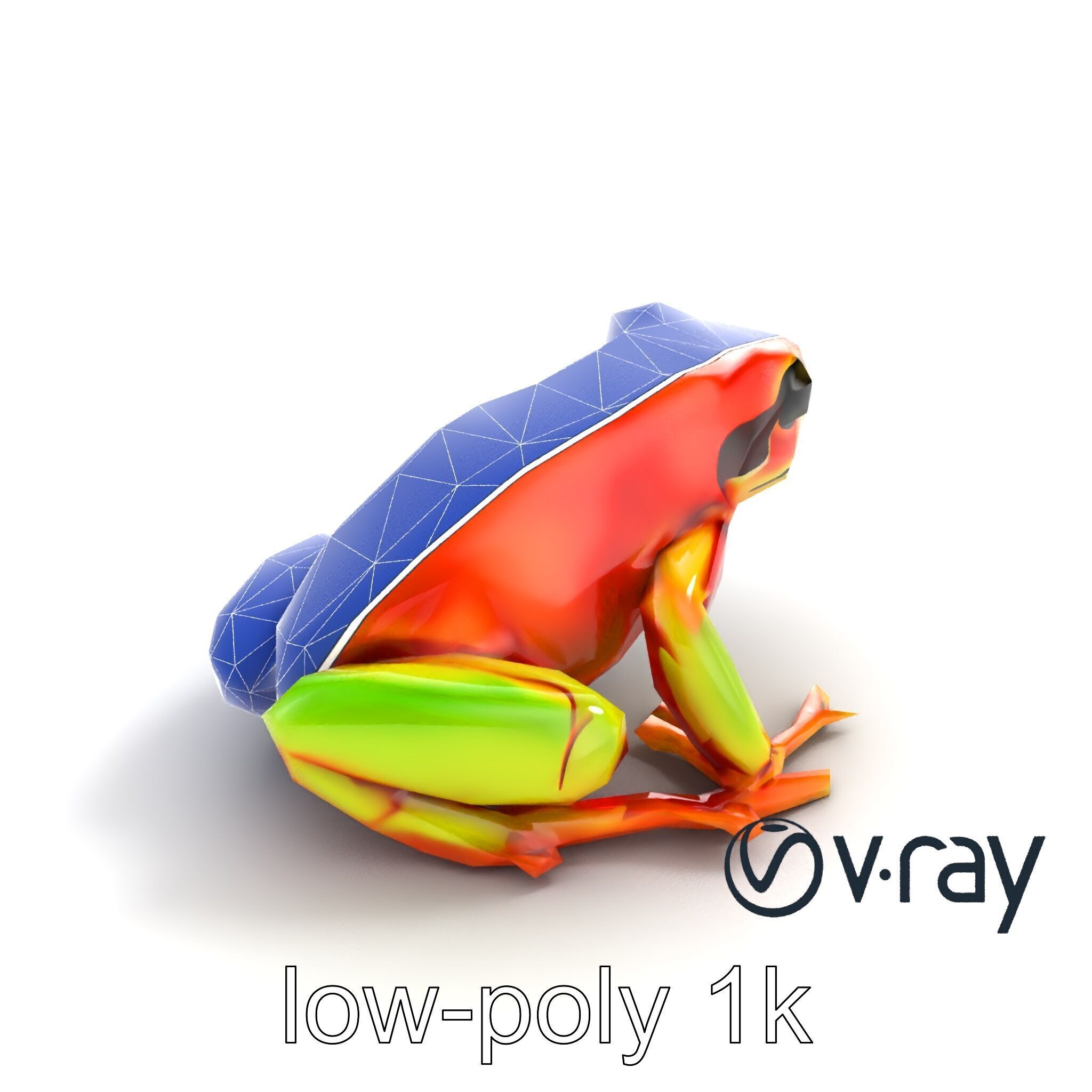 Vibrant Poison Dart Frog Neon Hue model pack Low-poly 3D model_25