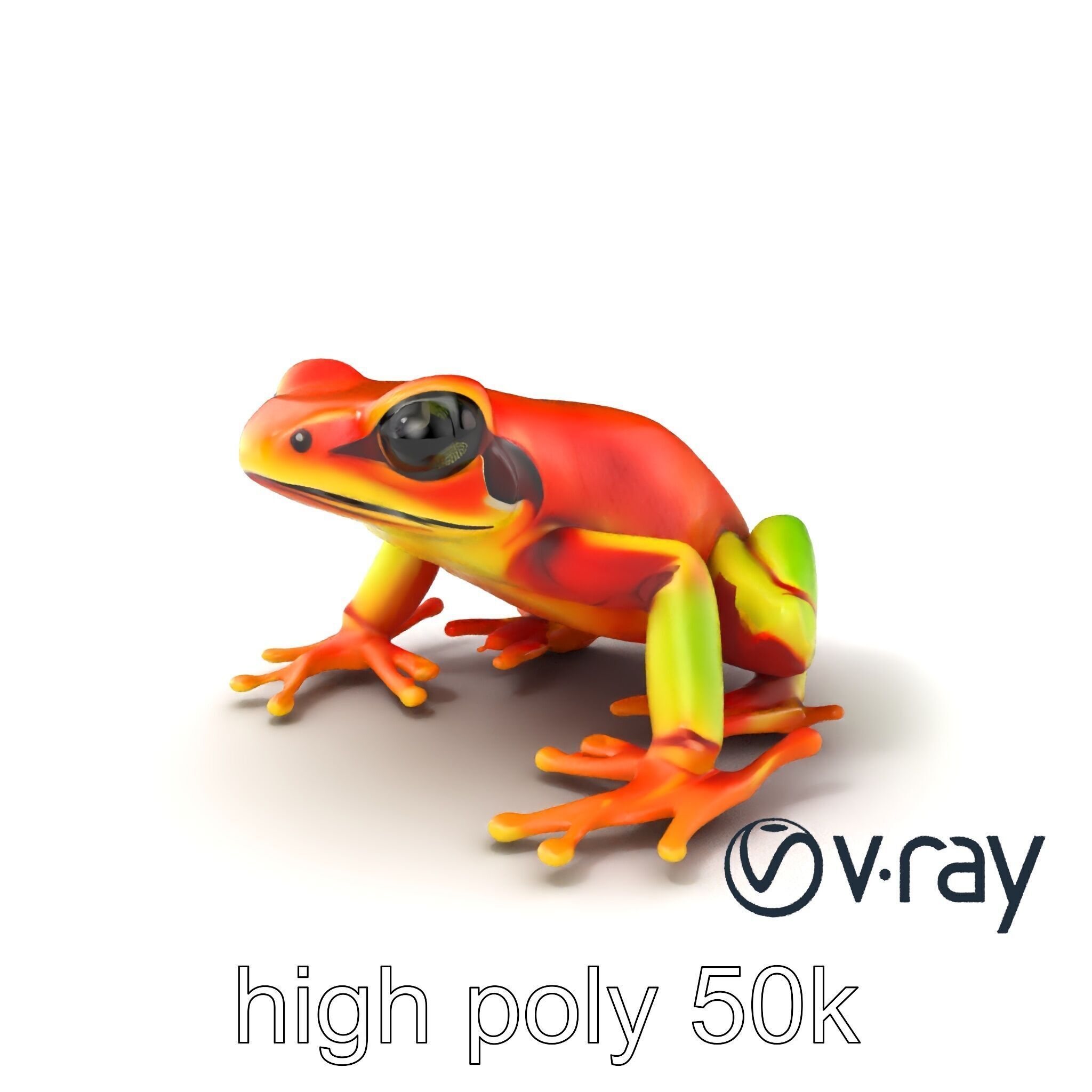 Vibrant Poison Dart Frog Neon Hue model pack Low-poly 3D model_5