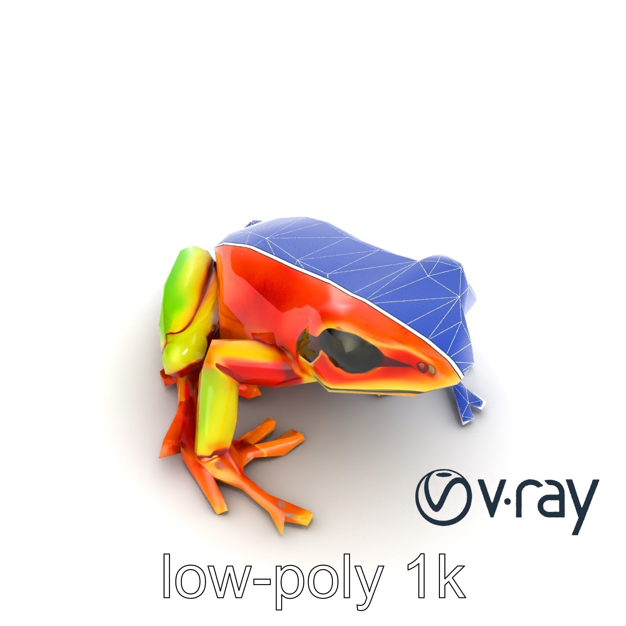 Vibrant Poison Dart Frog Neon Hue model pack Low-poly 3D model_29