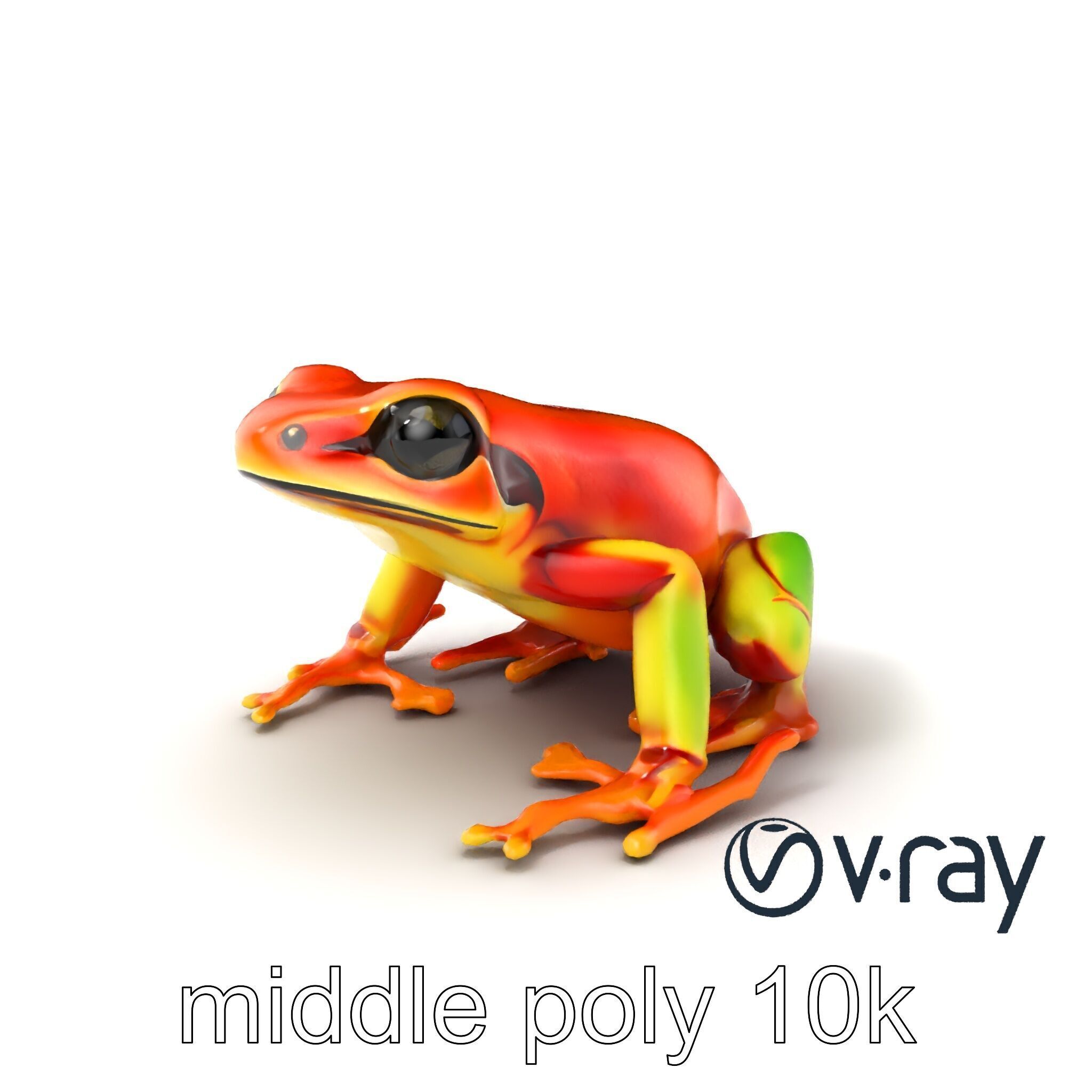 Vibrant Poison Dart Frog Neon Hue model pack Low-poly 3D model_3