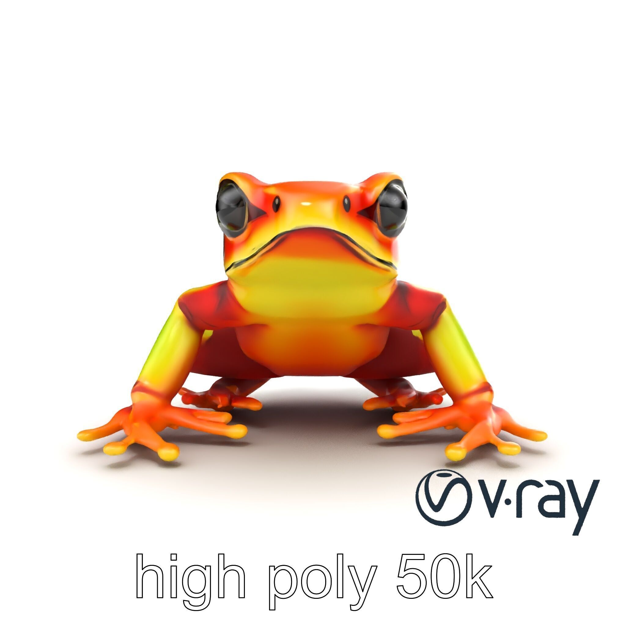 Vibrant Poison Dart Frog Neon Hue model pack Low-poly 3D model_26