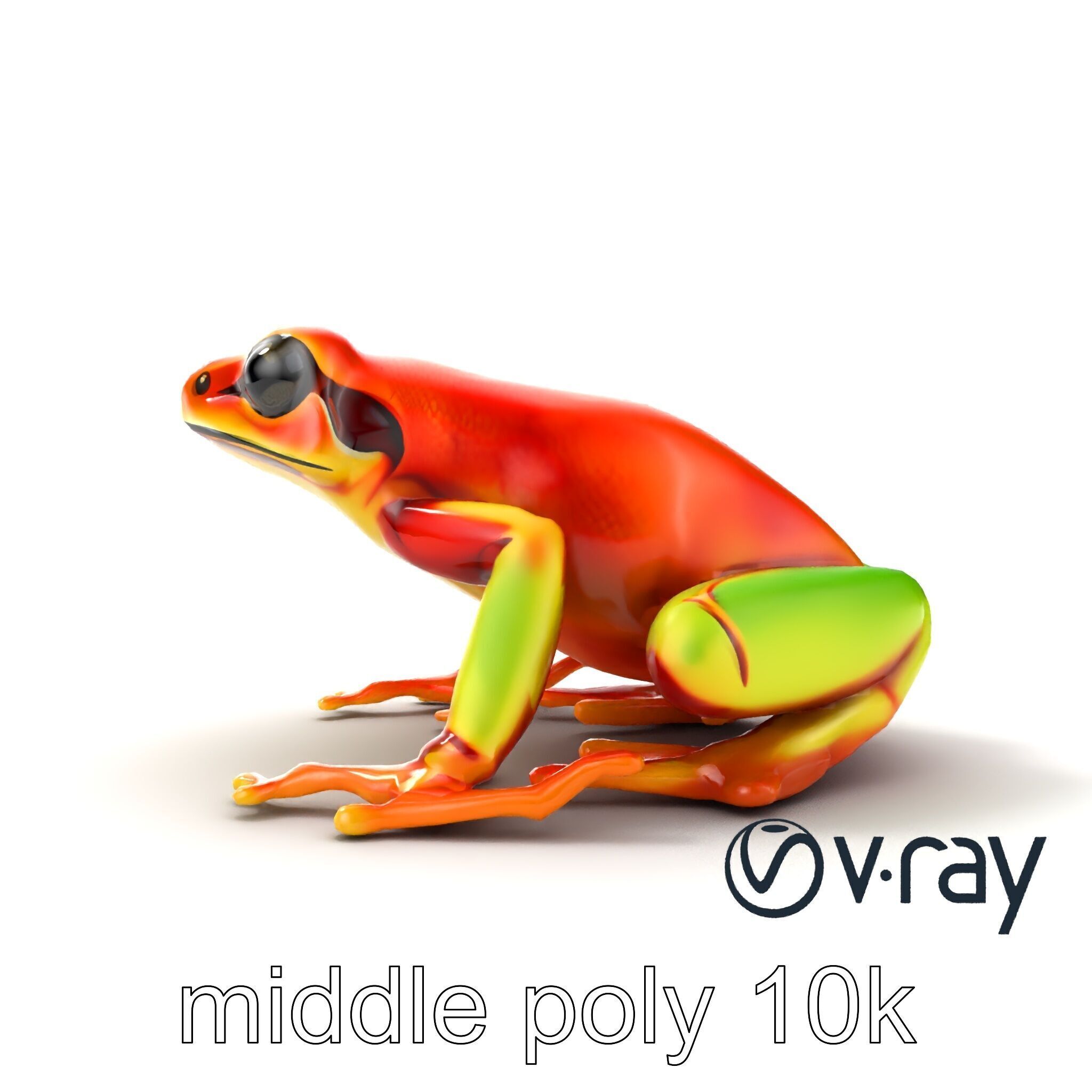 Vibrant Poison Dart Frog Neon Hue model pack Low-poly 3D model_18