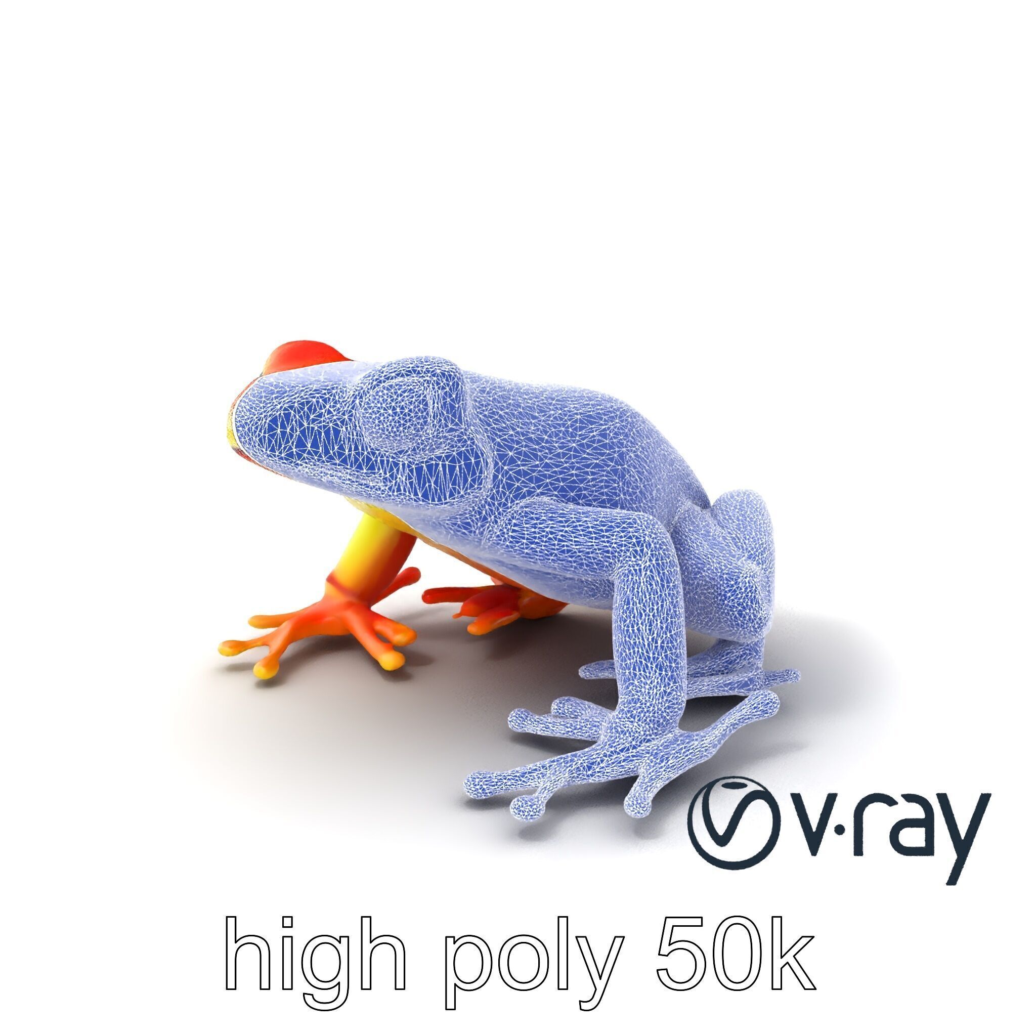 Vibrant Poison Dart Frog Neon Hue model pack Low-poly 3D model_8