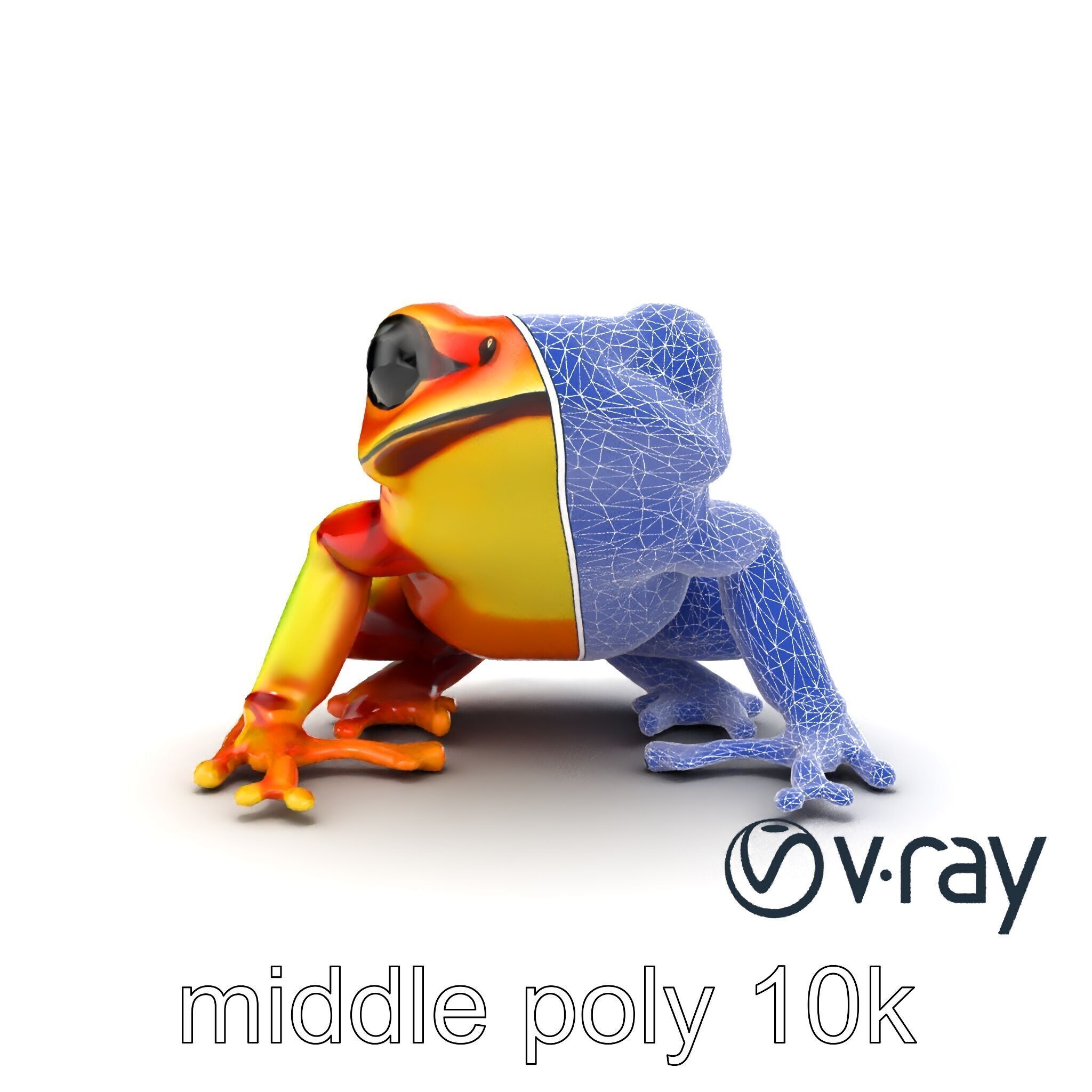 Vibrant Poison Dart Frog Neon Hue model pack Low-poly 3D model_20