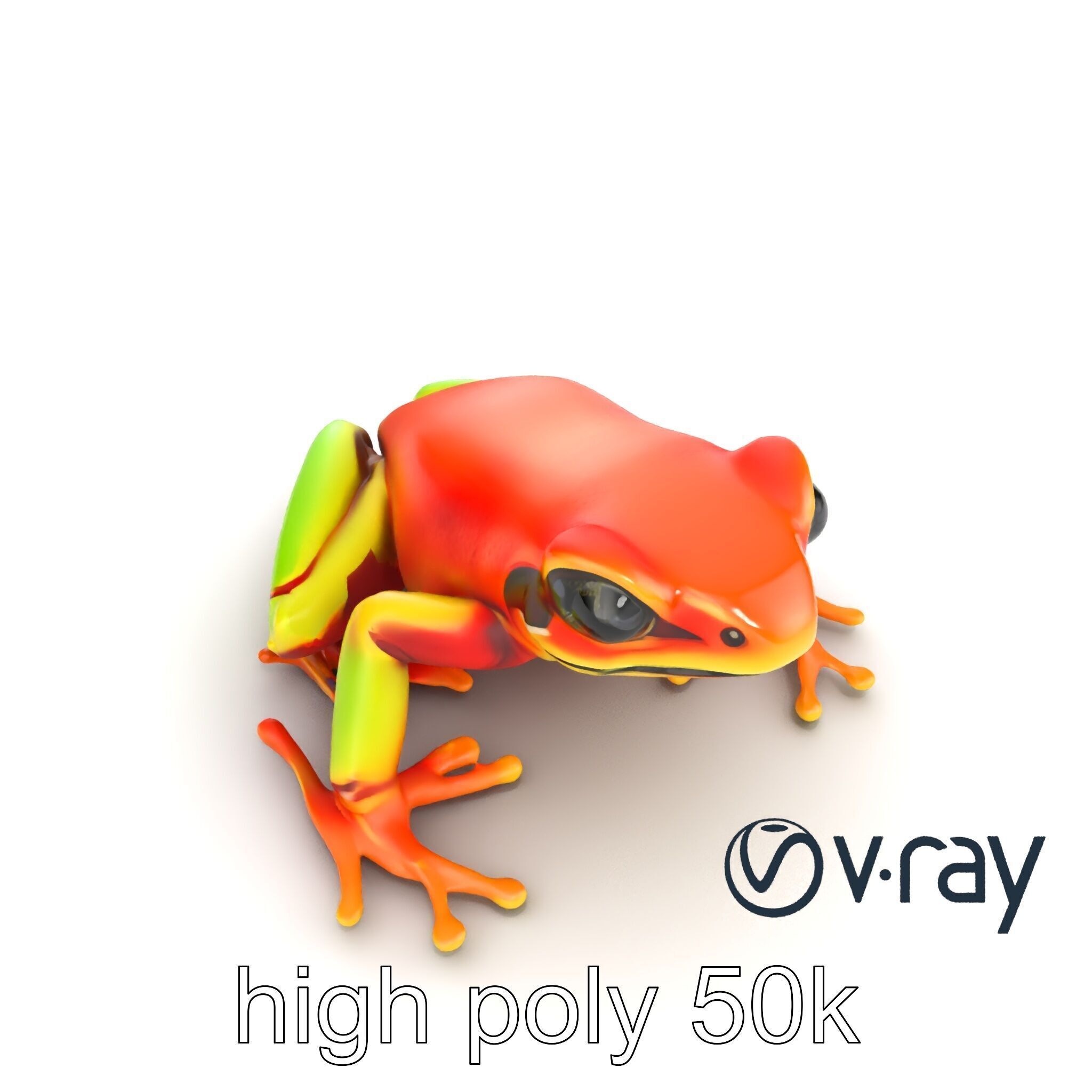 Vibrant Poison Dart Frog Neon Hue model pack Low-poly 3D model_22