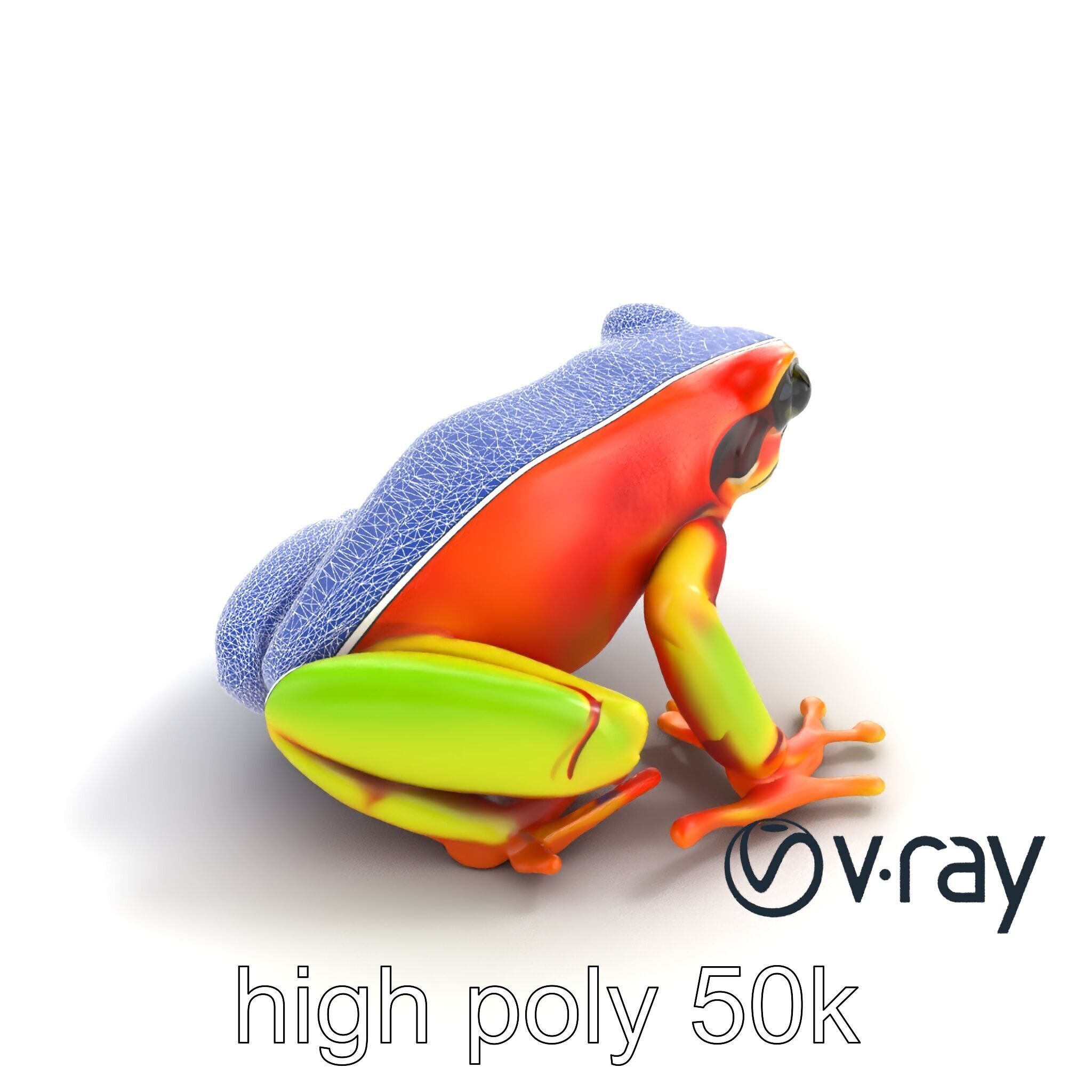 Vibrant Poison Dart Frog Neon Hue model pack Low-poly 3D model_31
