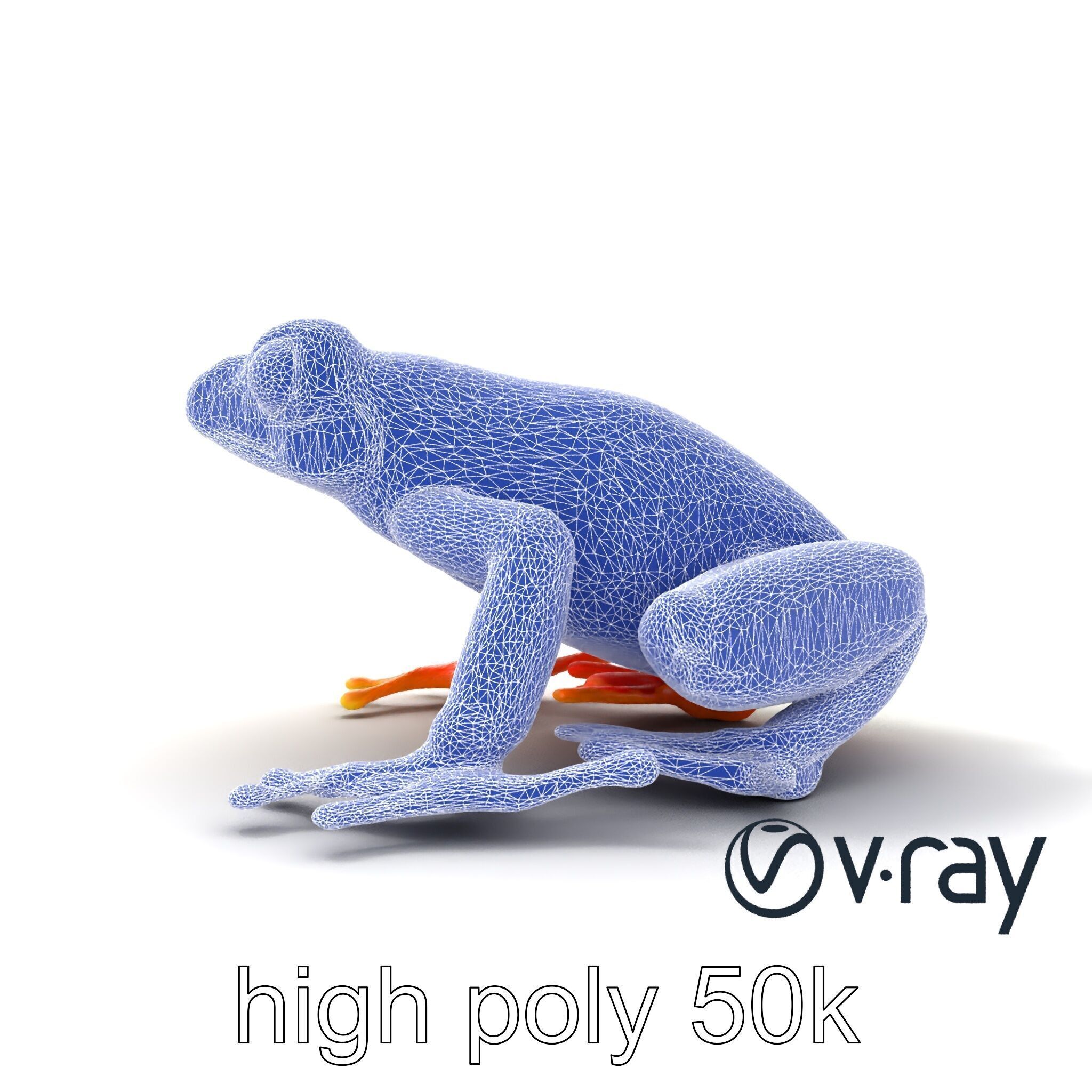 Vibrant Poison Dart Frog Neon Hue model pack Low-poly 3D model_28