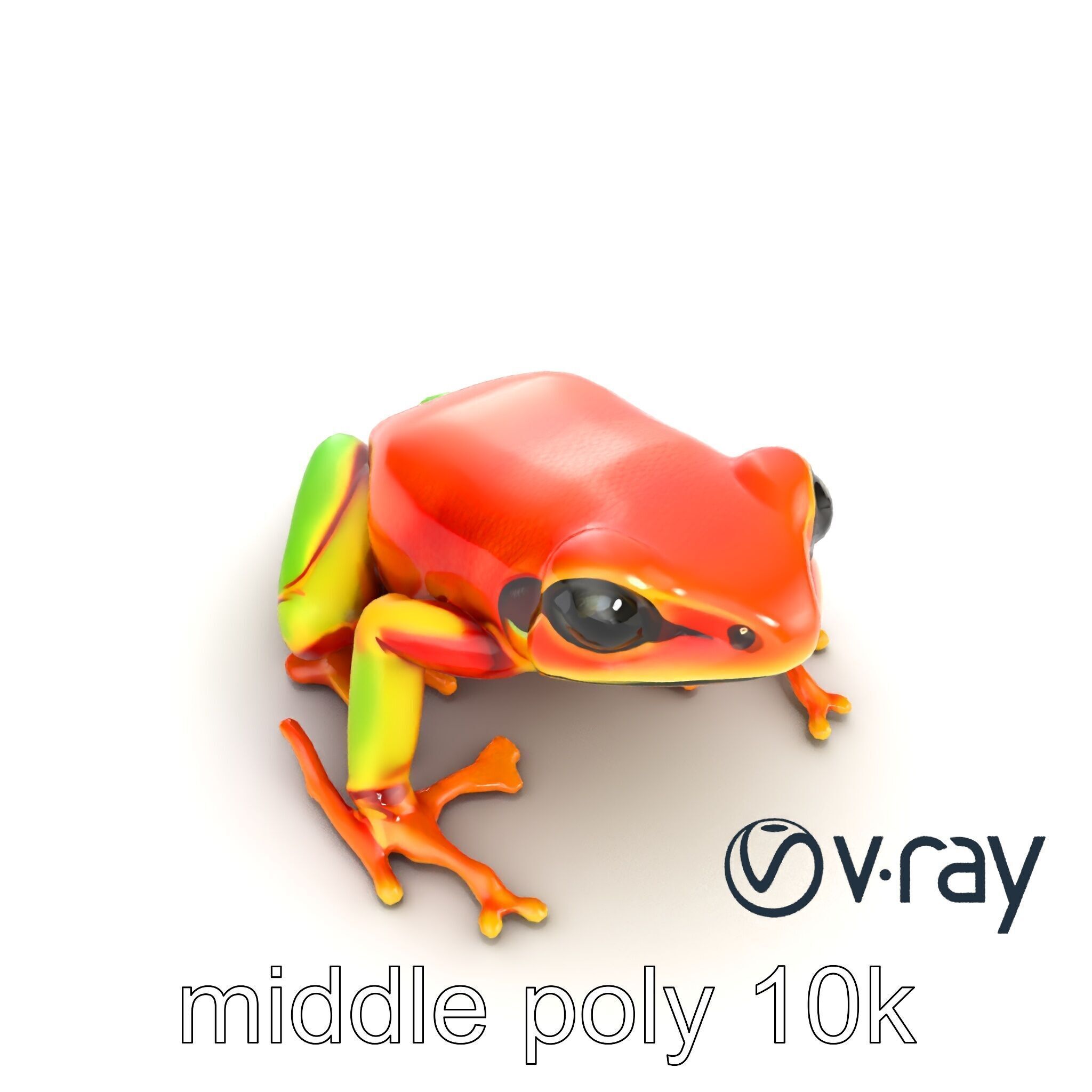 Vibrant Poison Dart Frog Neon Hue model pack Low-poly 3D model_24