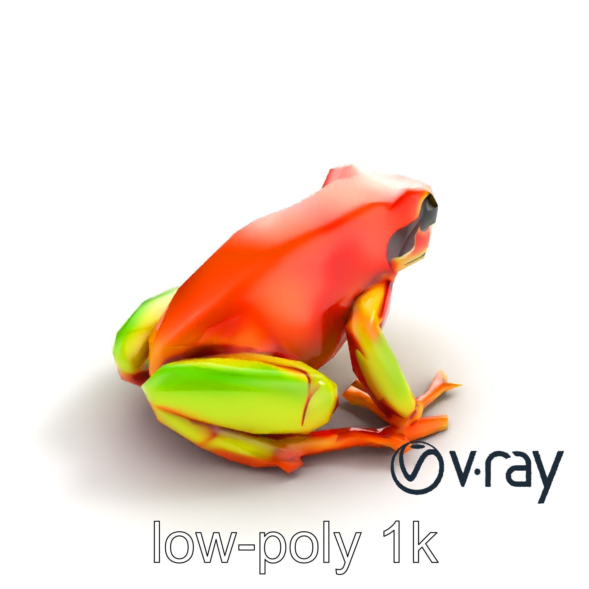 Vibrant Poison Dart Frog Neon Hue model pack Low-poly 3D model_7