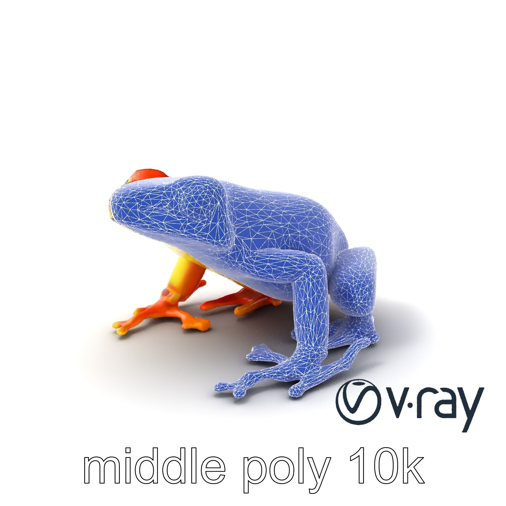 Vibrant Poison Dart Frog Neon Hue model pack Low-poly 3D model_6