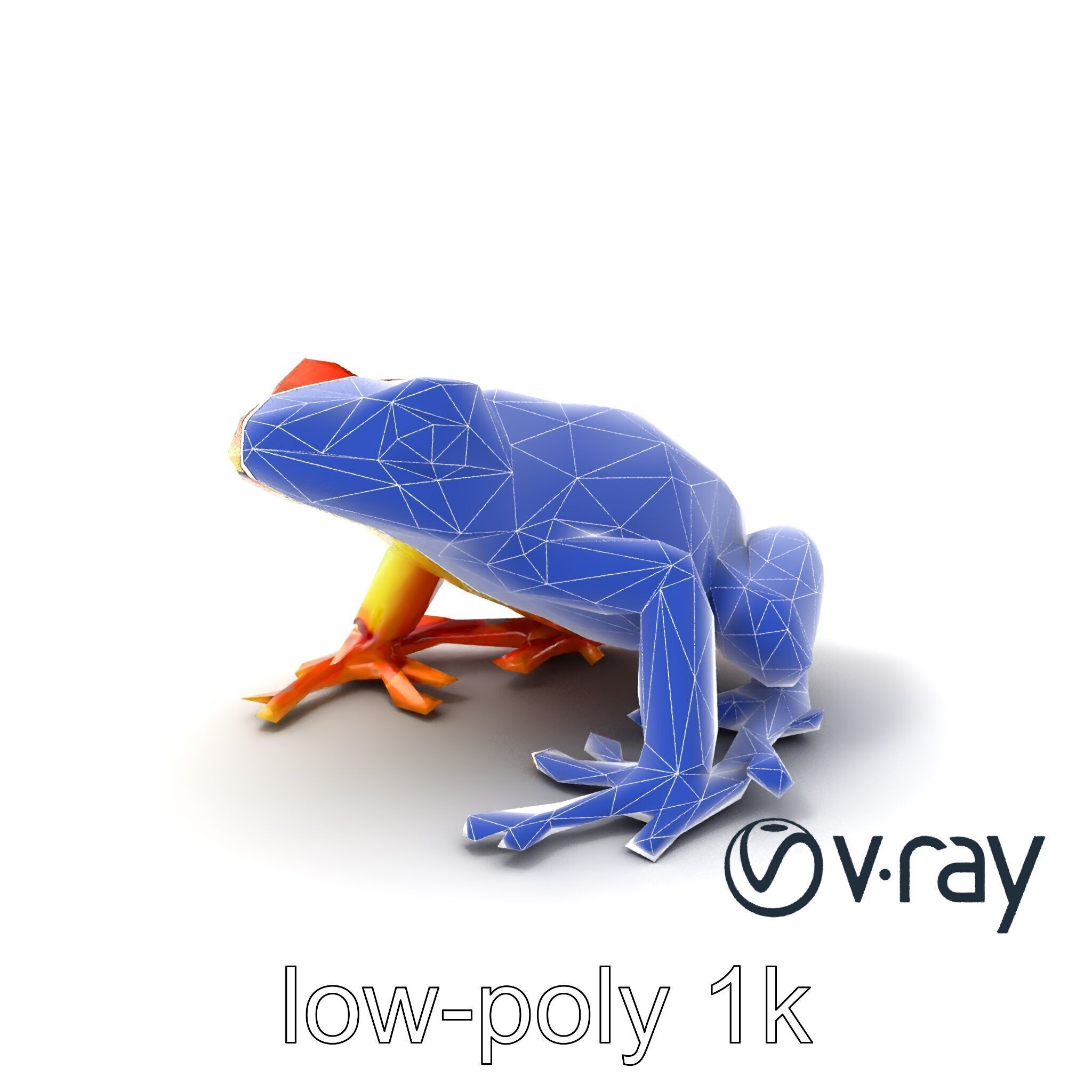 Vibrant Poison Dart Frog Neon Hue model pack Low-poly 3D model_30