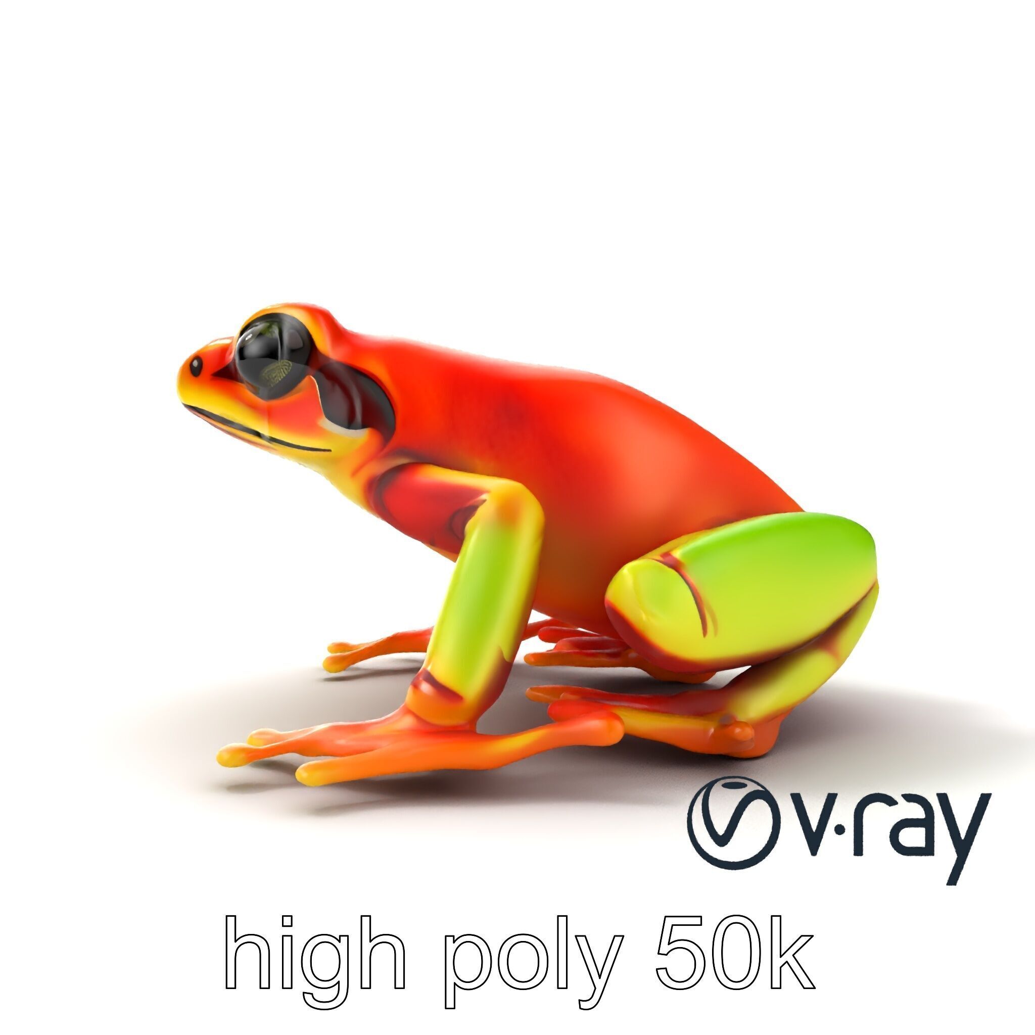 Vibrant Poison Dart Frog Neon Hue model pack Low-poly 3D model_14