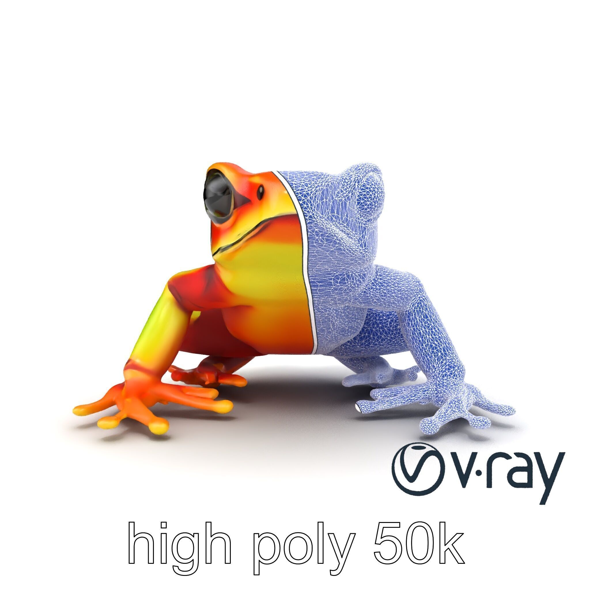 Vibrant Poison Dart Frog Neon Hue model pack Low-poly 3D model_21
