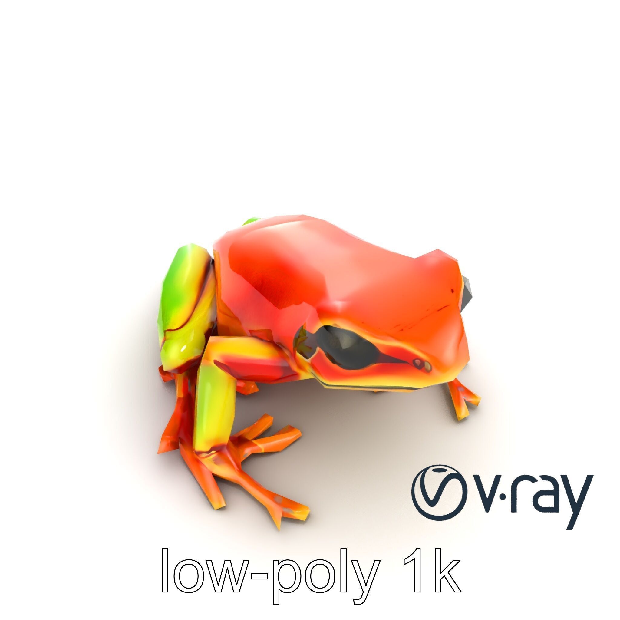 Vibrant Poison Dart Frog Neon Hue model pack Low-poly 3D model_10