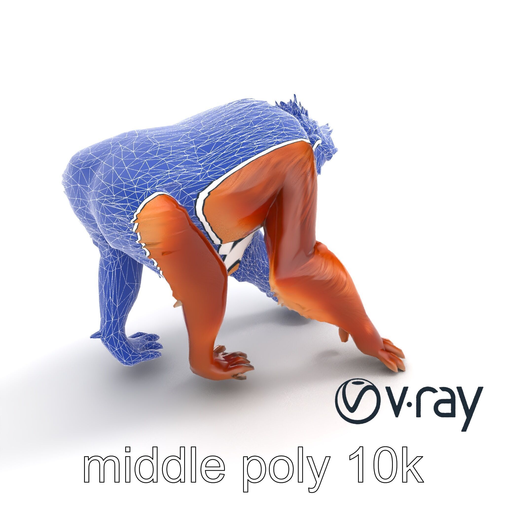 Orangutan Explorer Wilderness 3D Model Pack Low-poly 3D model_31