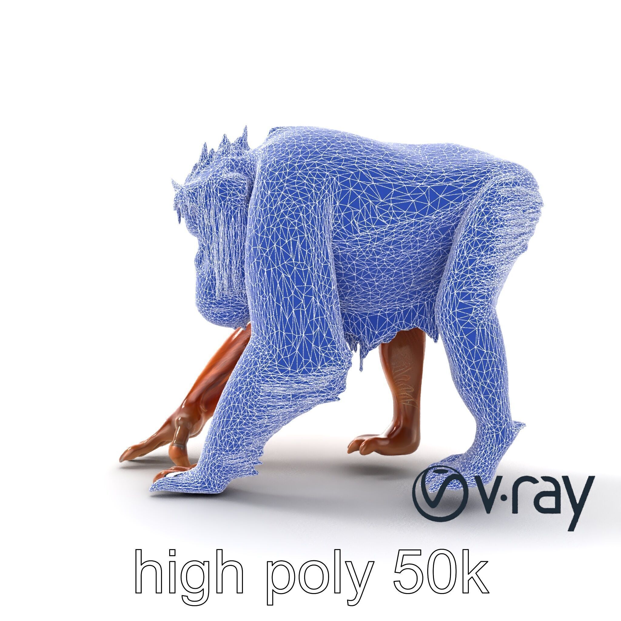 Orangutan Explorer Wilderness 3D Model Pack Low-poly 3D model_26