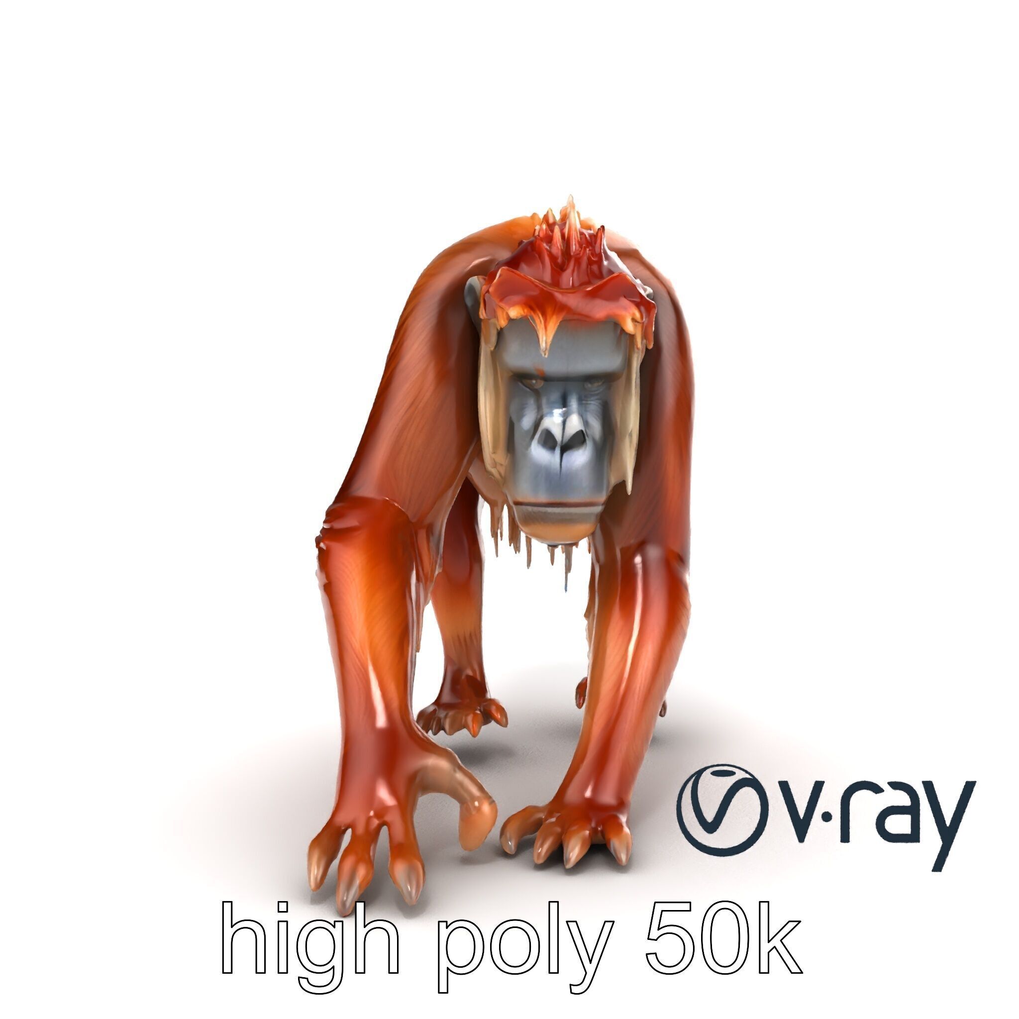 Orangutan Explorer Wilderness 3D Model Pack Low-poly 3D model_27