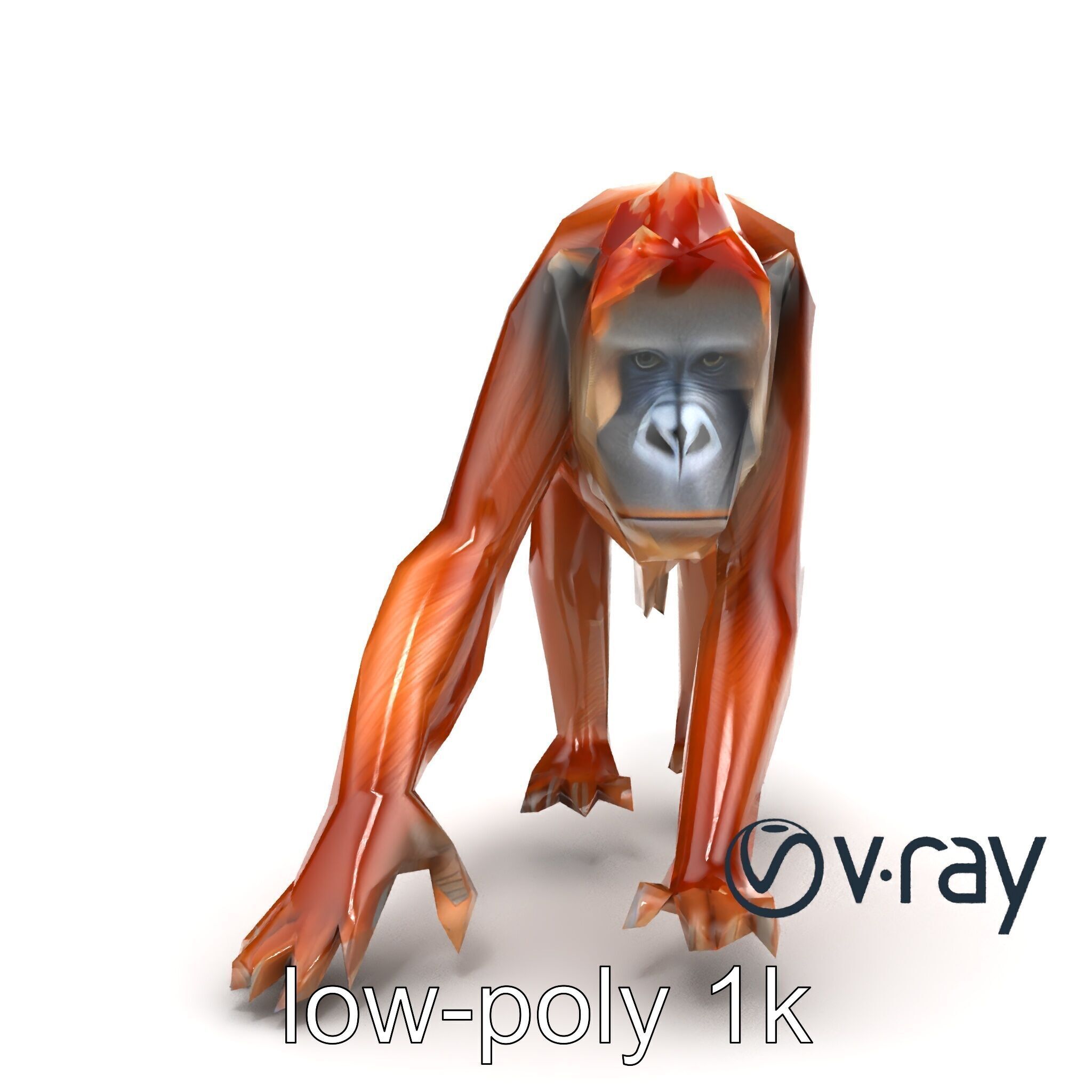 Orangutan Explorer Wilderness 3D Model Pack Low-poly 3D model_24
