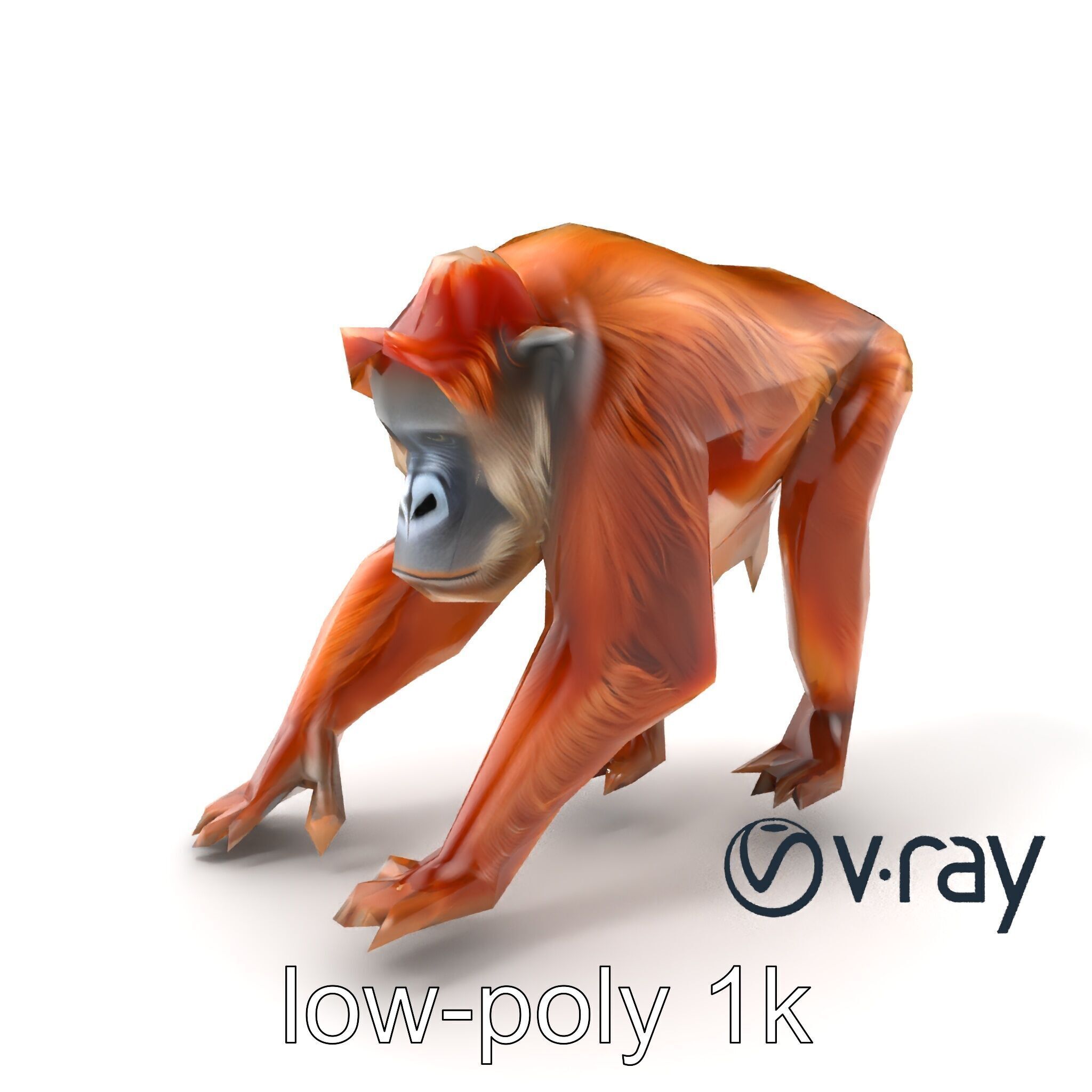 Orangutan Explorer Wilderness 3D Model Pack Low-poly 3D model_2