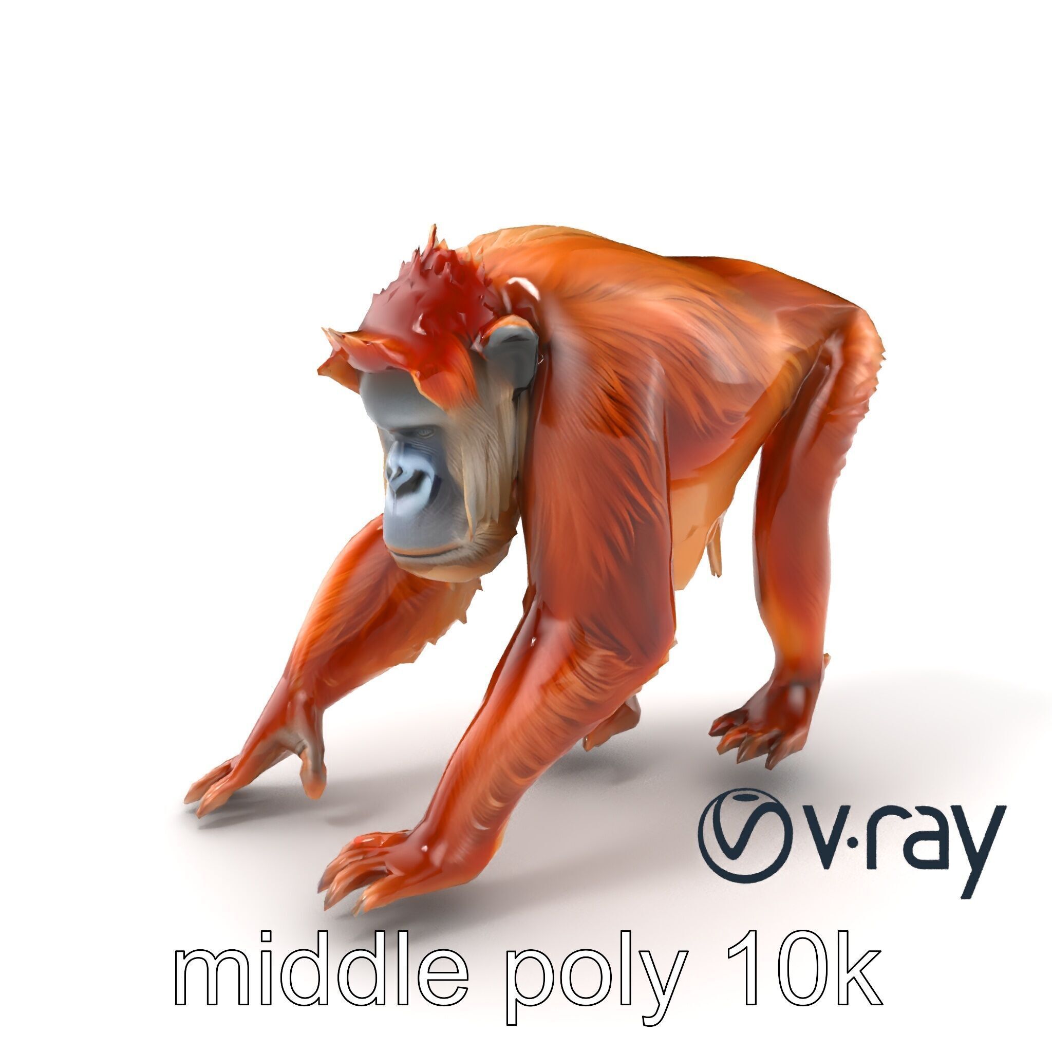 Orangutan Explorer Wilderness 3D Model Pack Low-poly 3D model_3