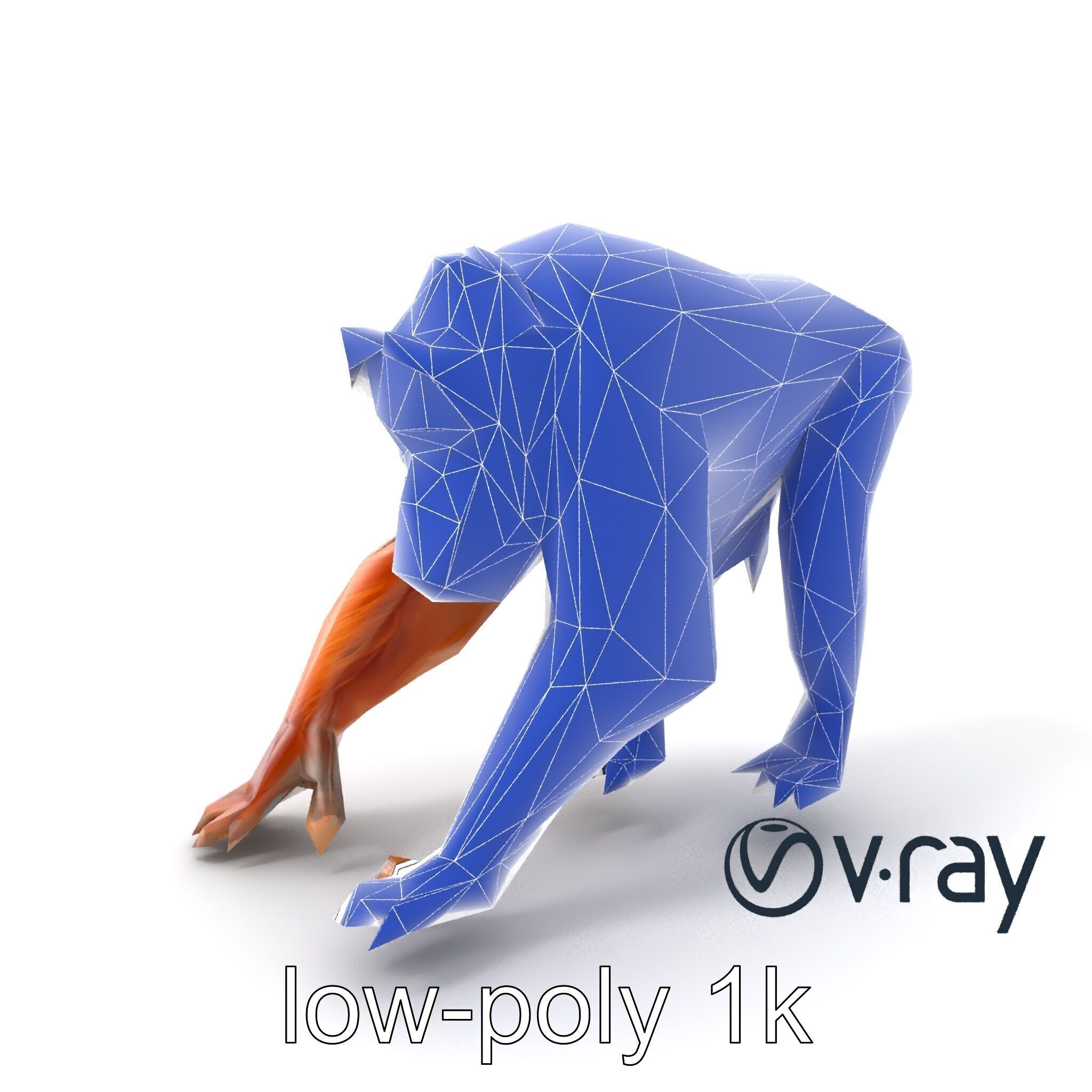 Orangutan Explorer Wilderness 3D Model Pack Low-poly 3D model_20