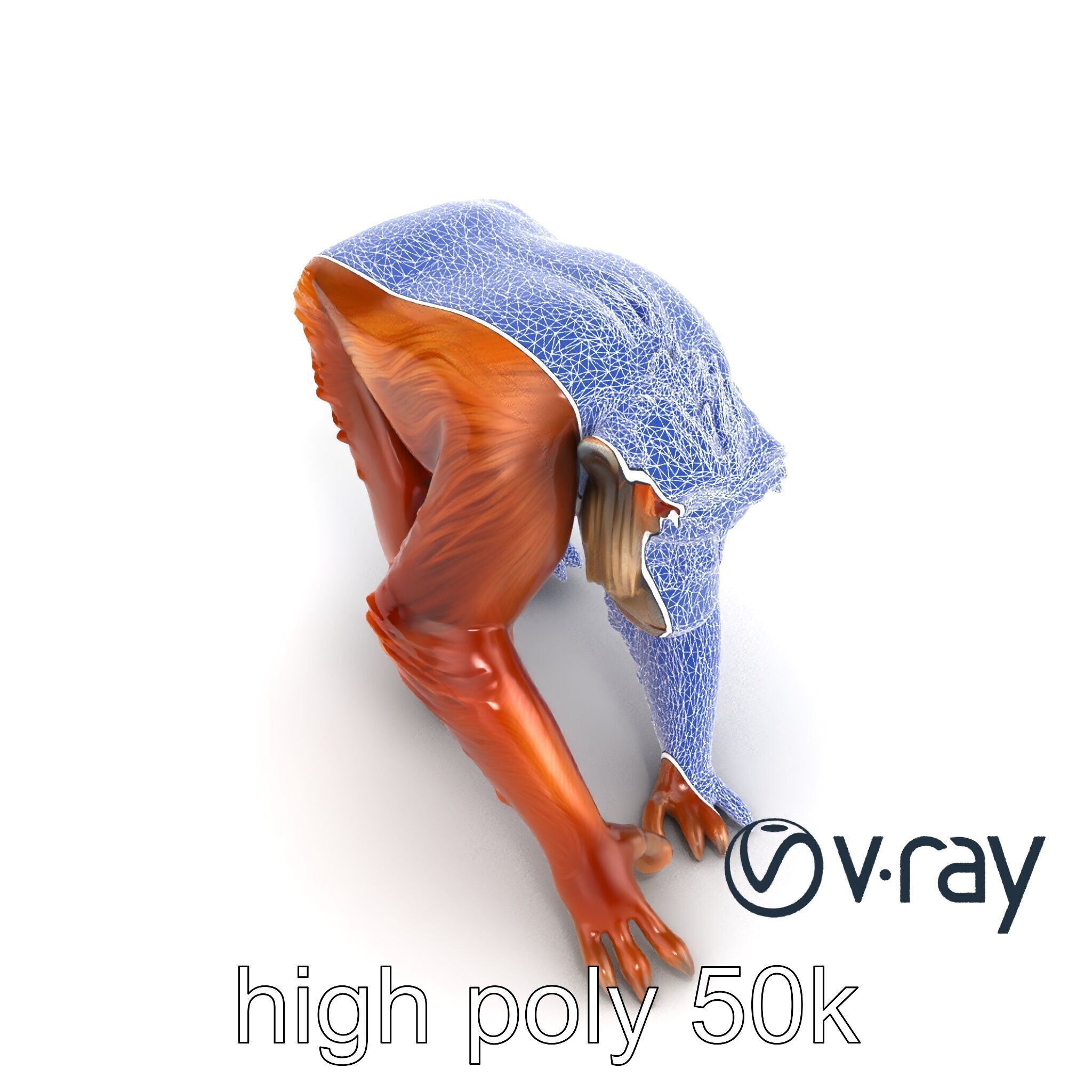 Orangutan Explorer Wilderness 3D Model Pack Low-poly 3D model_13