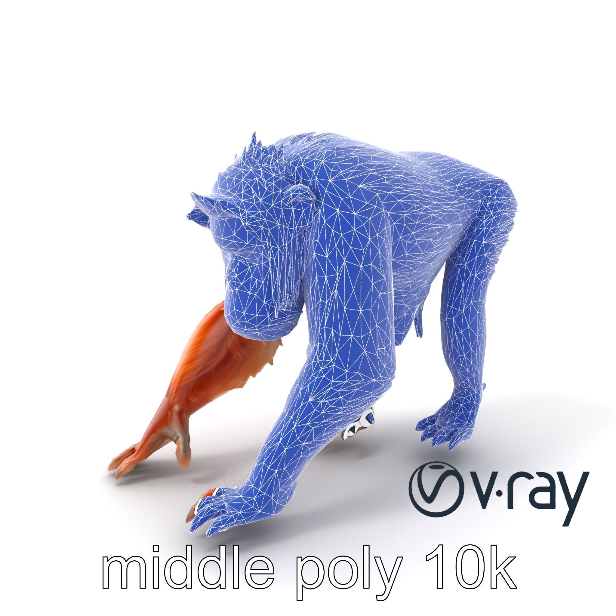 Orangutan Explorer Wilderness 3D Model Pack Low-poly 3D model_9