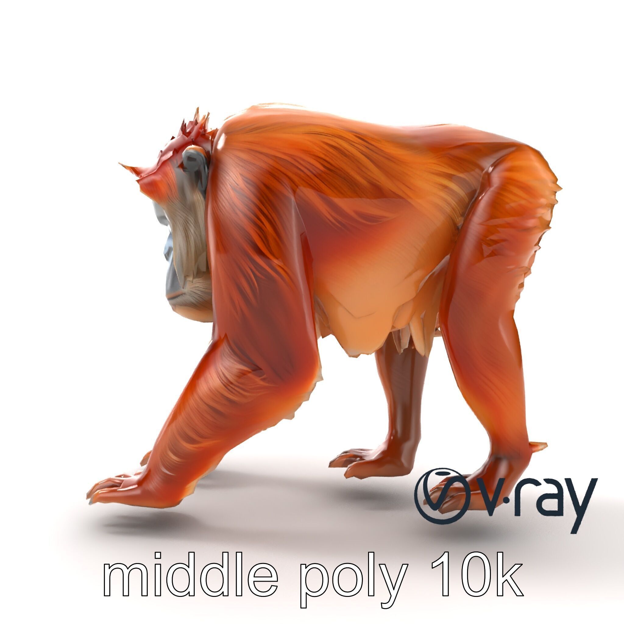 Orangutan Explorer Wilderness 3D Model Pack Low-poly 3D model_12