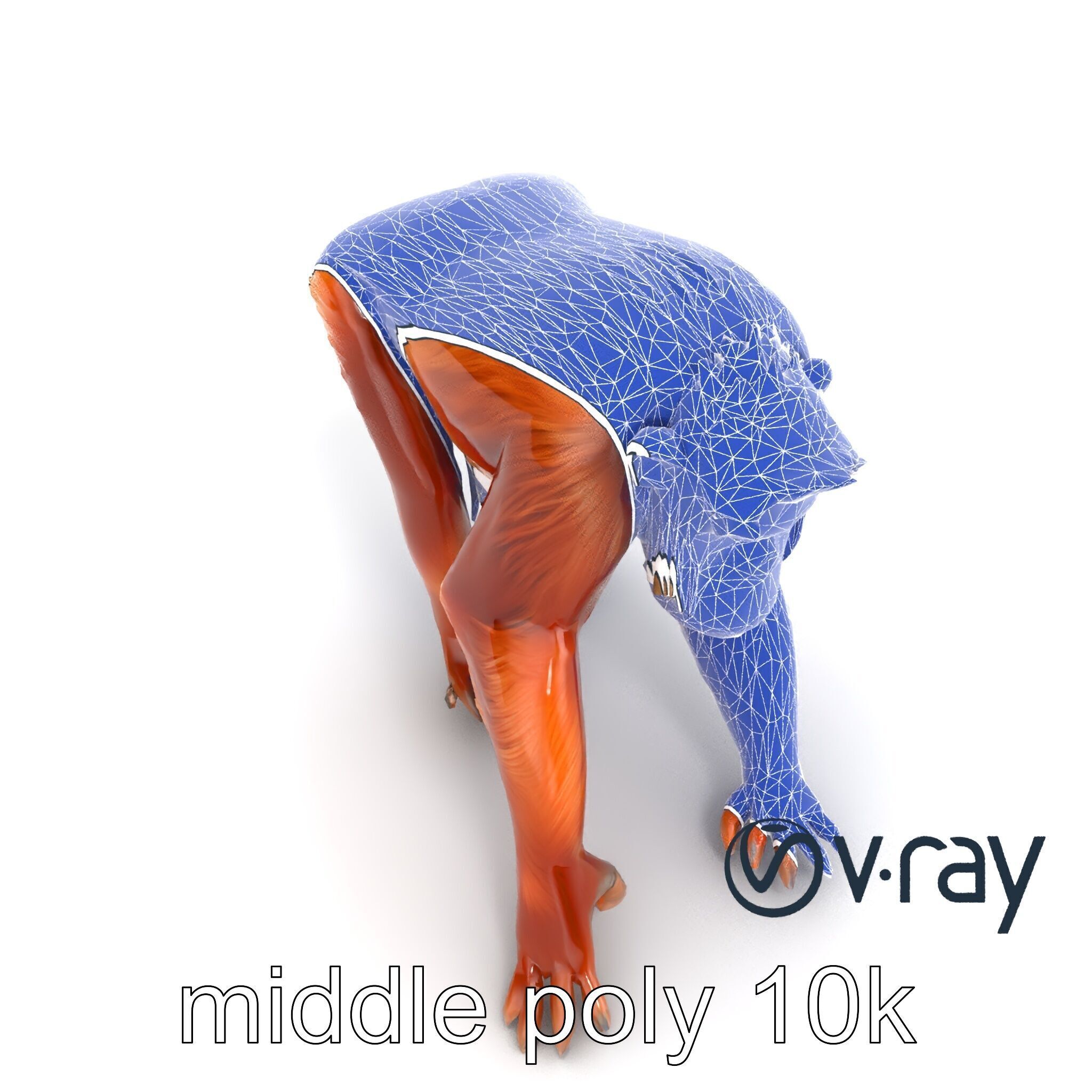 Orangutan Explorer Wilderness 3D Model Pack Low-poly 3D model_23