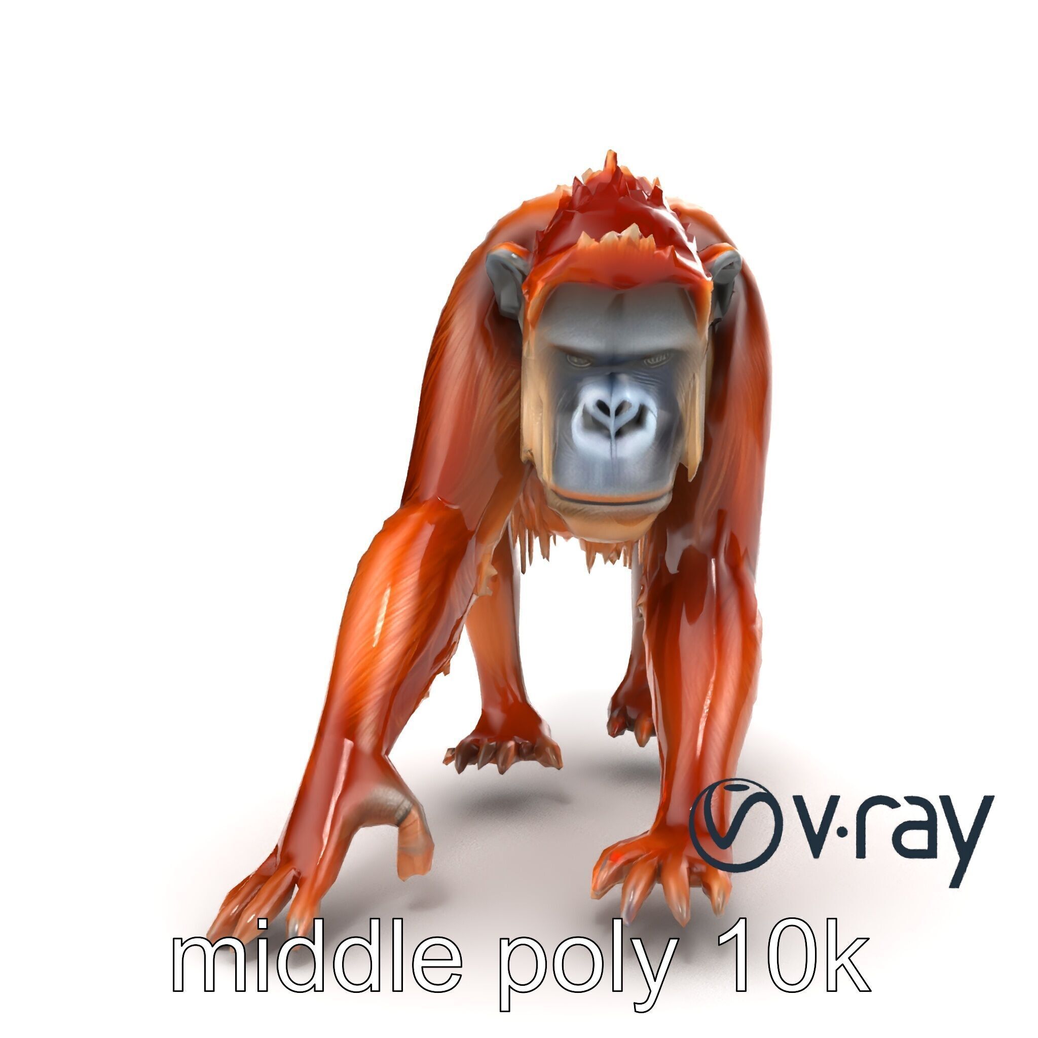 Orangutan Explorer Wilderness 3D Model Pack Low-poly 3D model_17